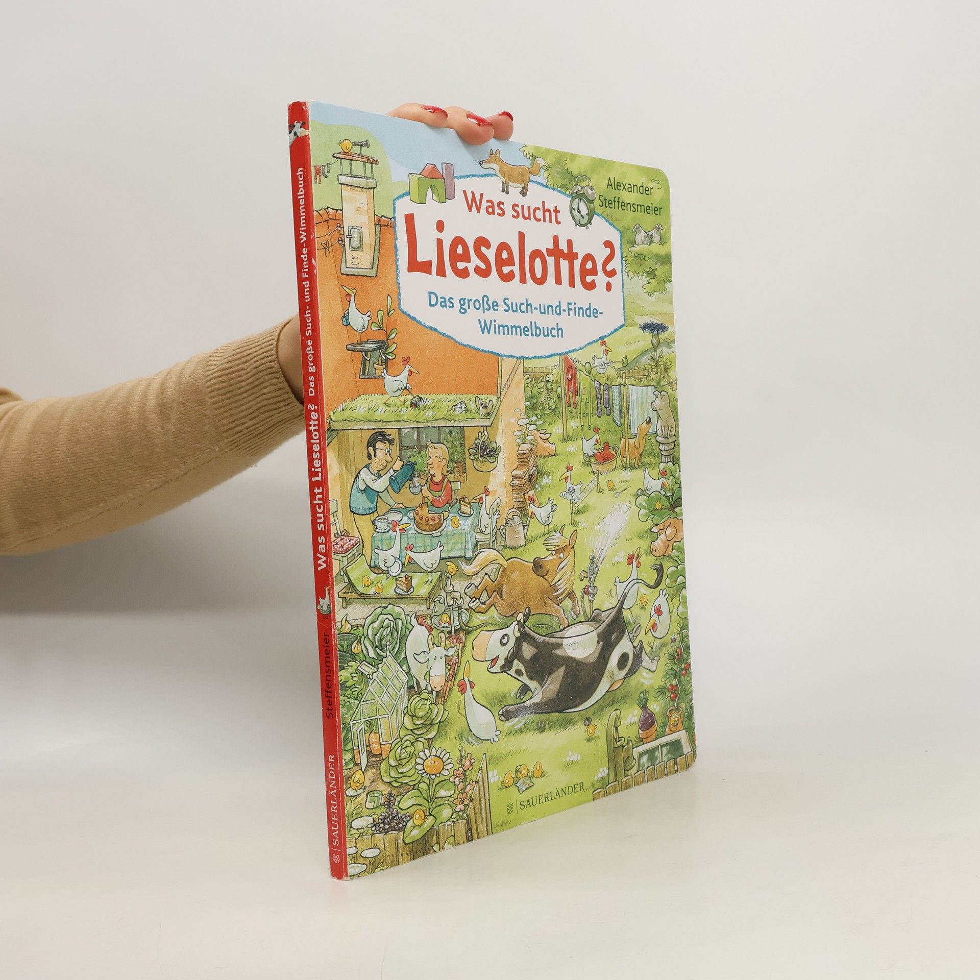 Alexander Steffensmeier Was sucht Lieselotte? Das große Such-und-Finde-Wimmelbuch