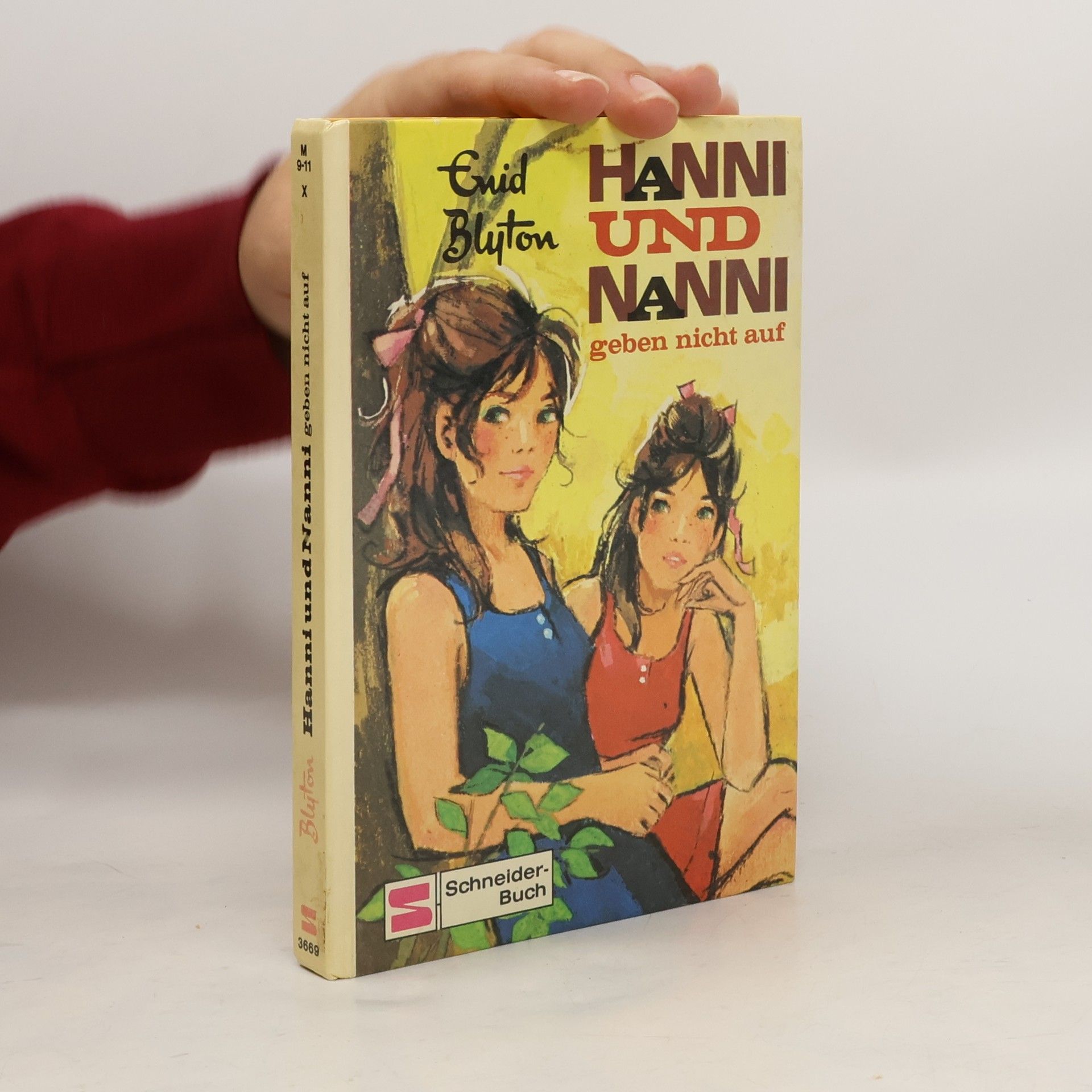 Enid Blyton Hanni und Nanni. Geben nicht auf