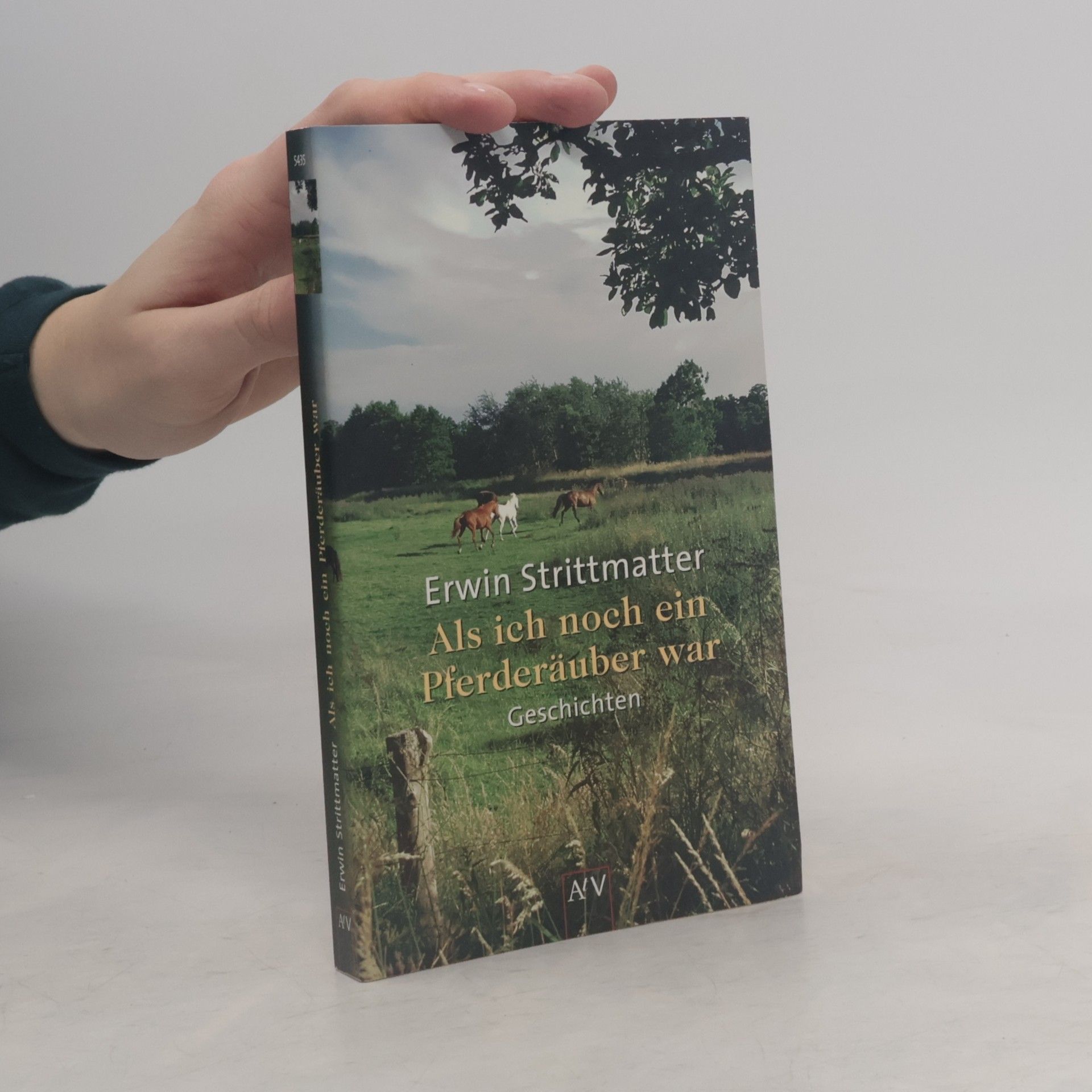 Erwin Strittmatter Als ich noch ein Pferderäuber war. Geschichten
