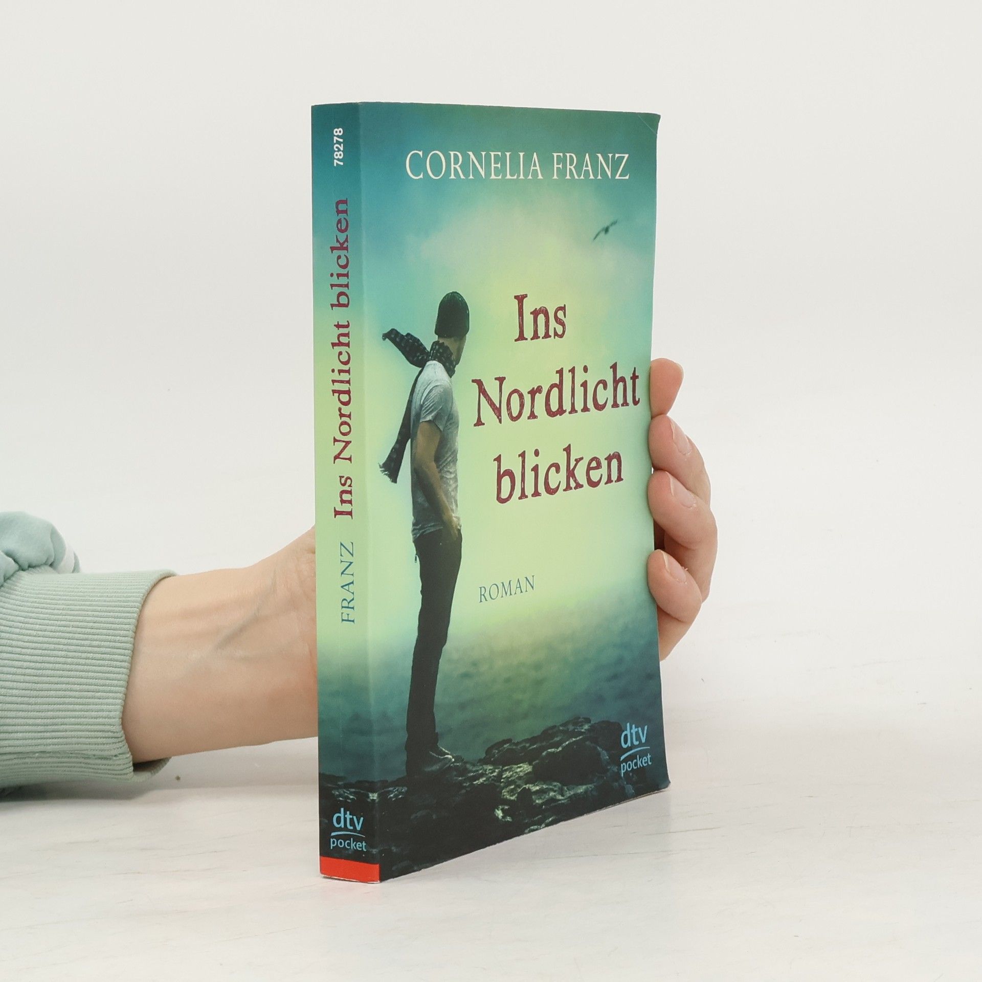 Cornelia Franz Ins Nordlicht blicken