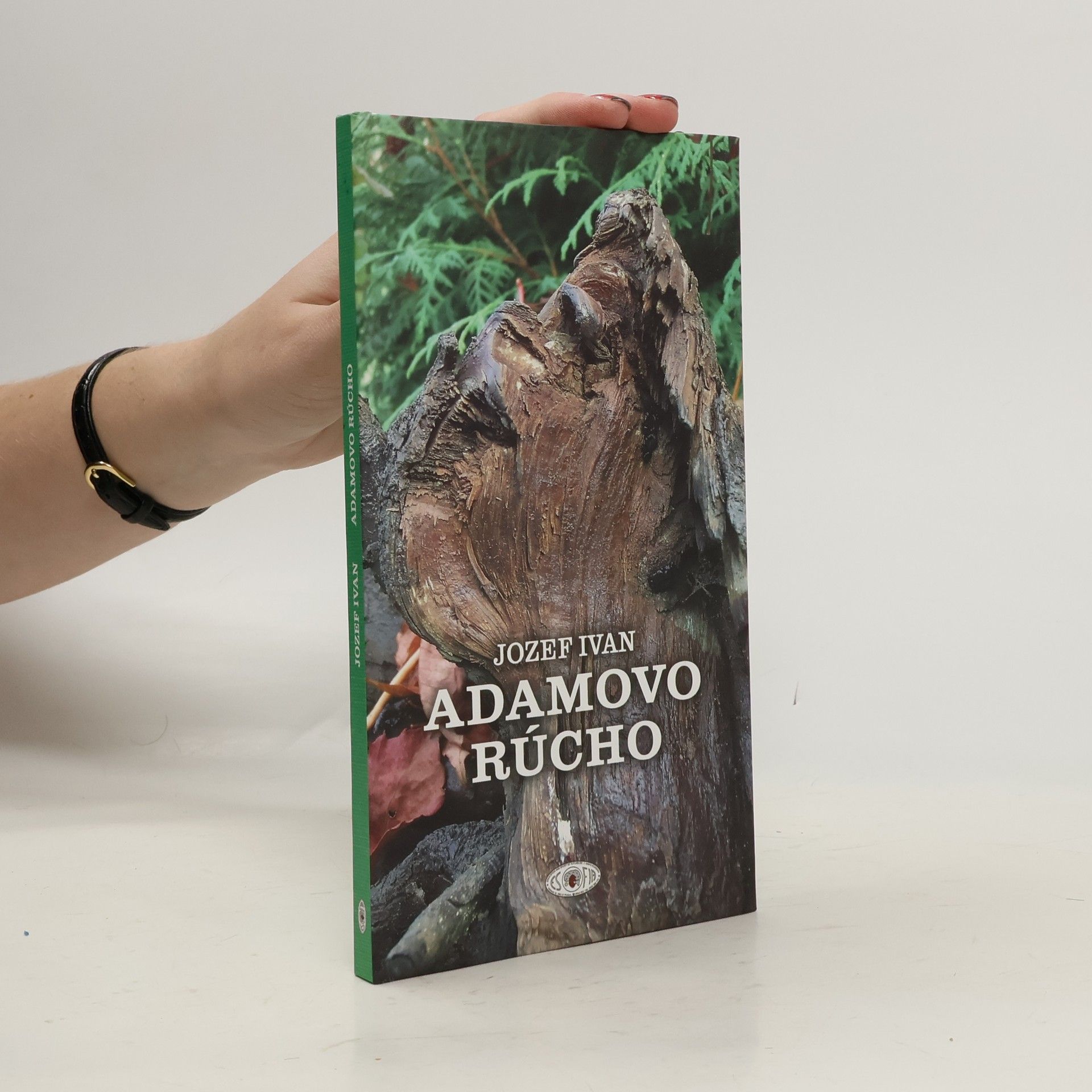 Jozef Ivan Adamovo rúcho