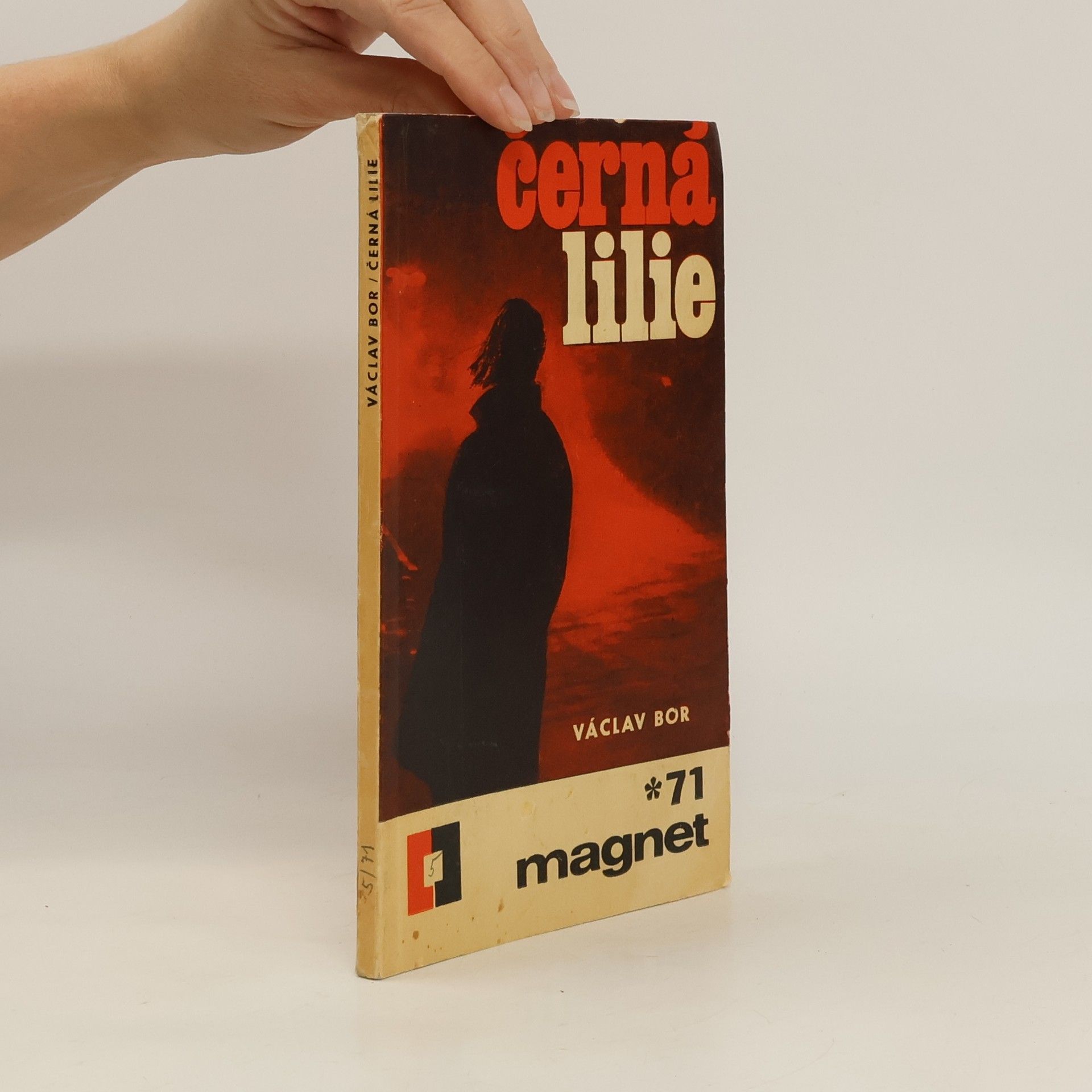 Václav Bor Černá lilie