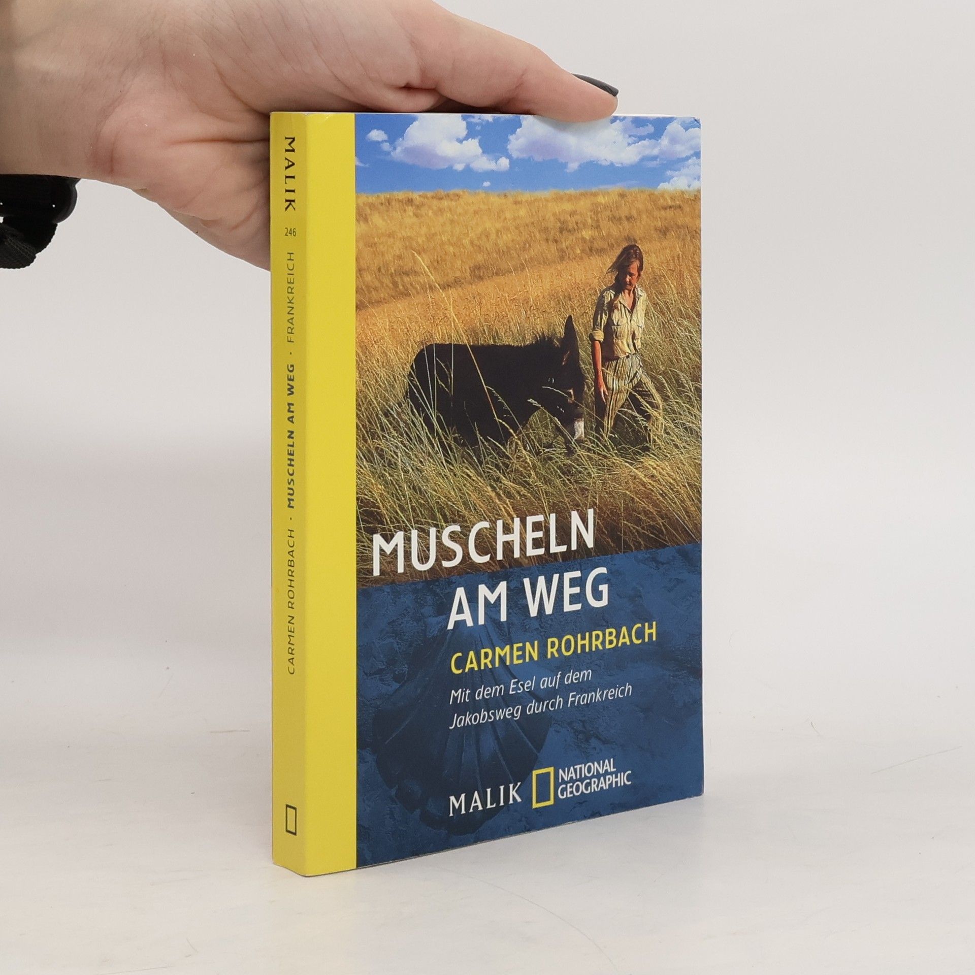 Carmen Rohrbach Muscheln am Weg