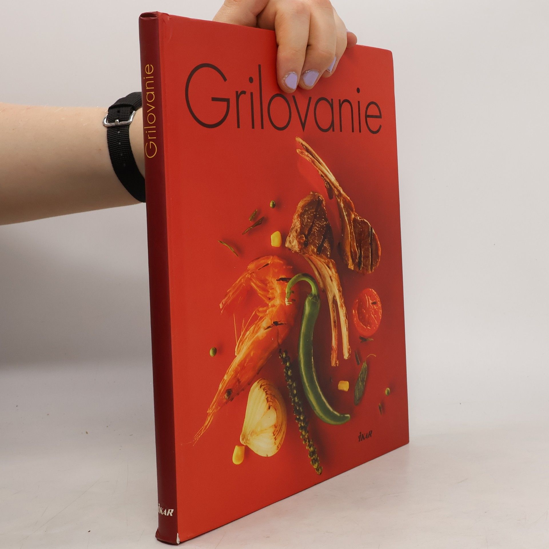 Kolektiv autorů Grilovanie