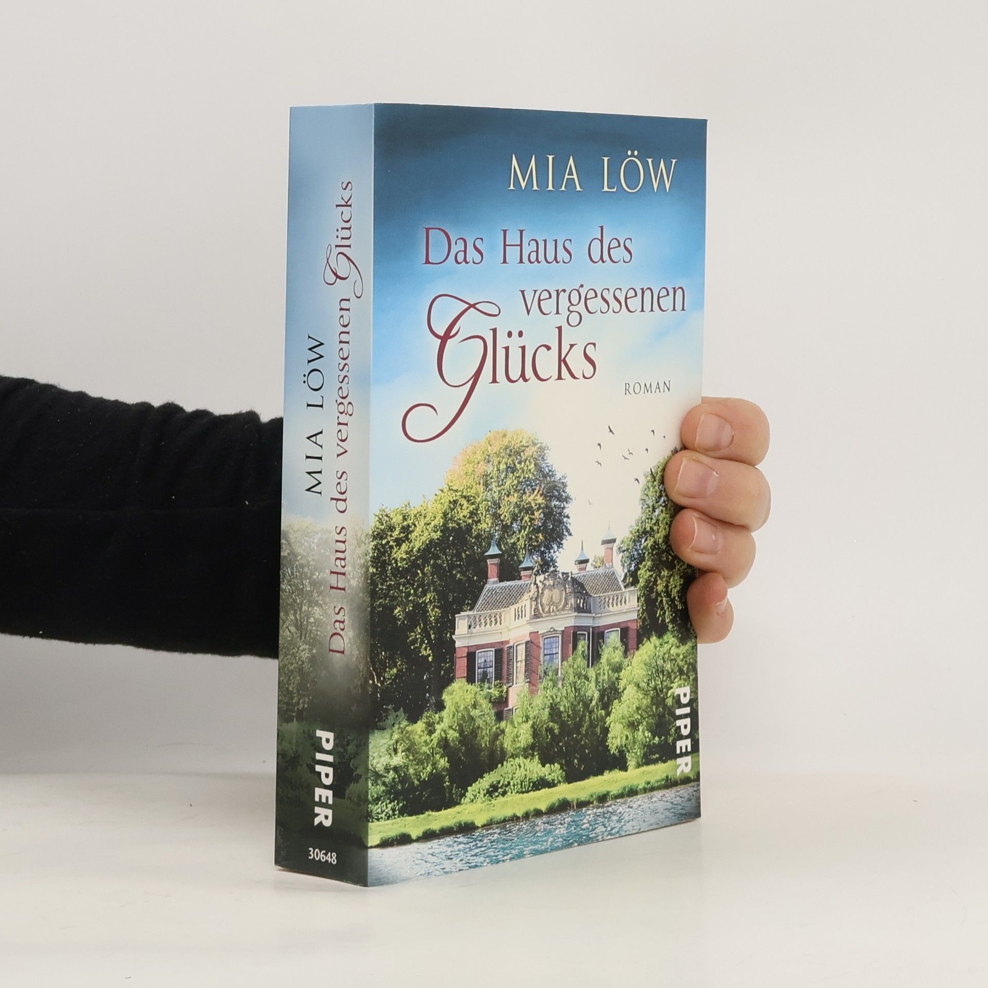 Mia Löw Das Haus des vergessenen Glücks