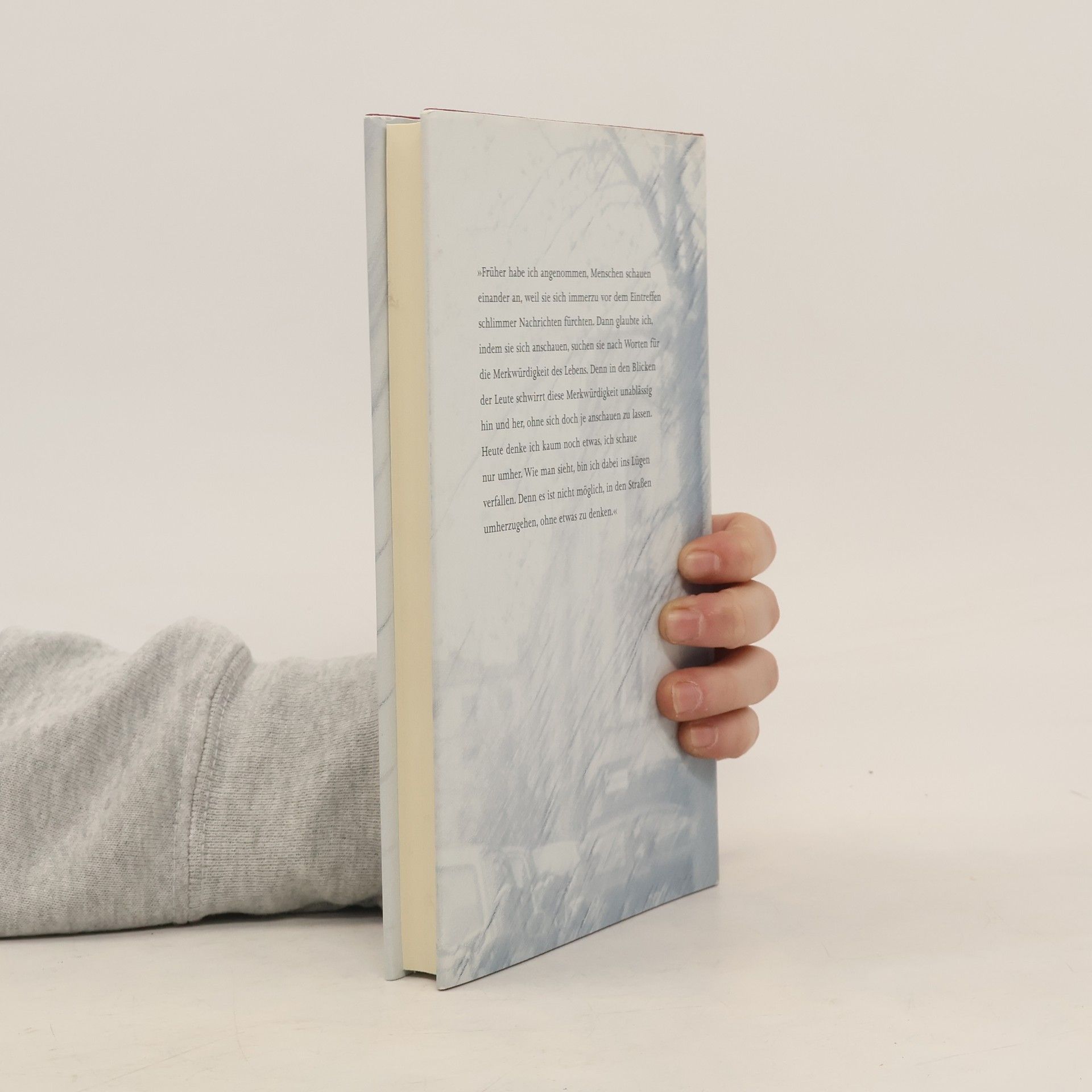 Wilhelm Genazino Ein Regenschirm für diesen Tag