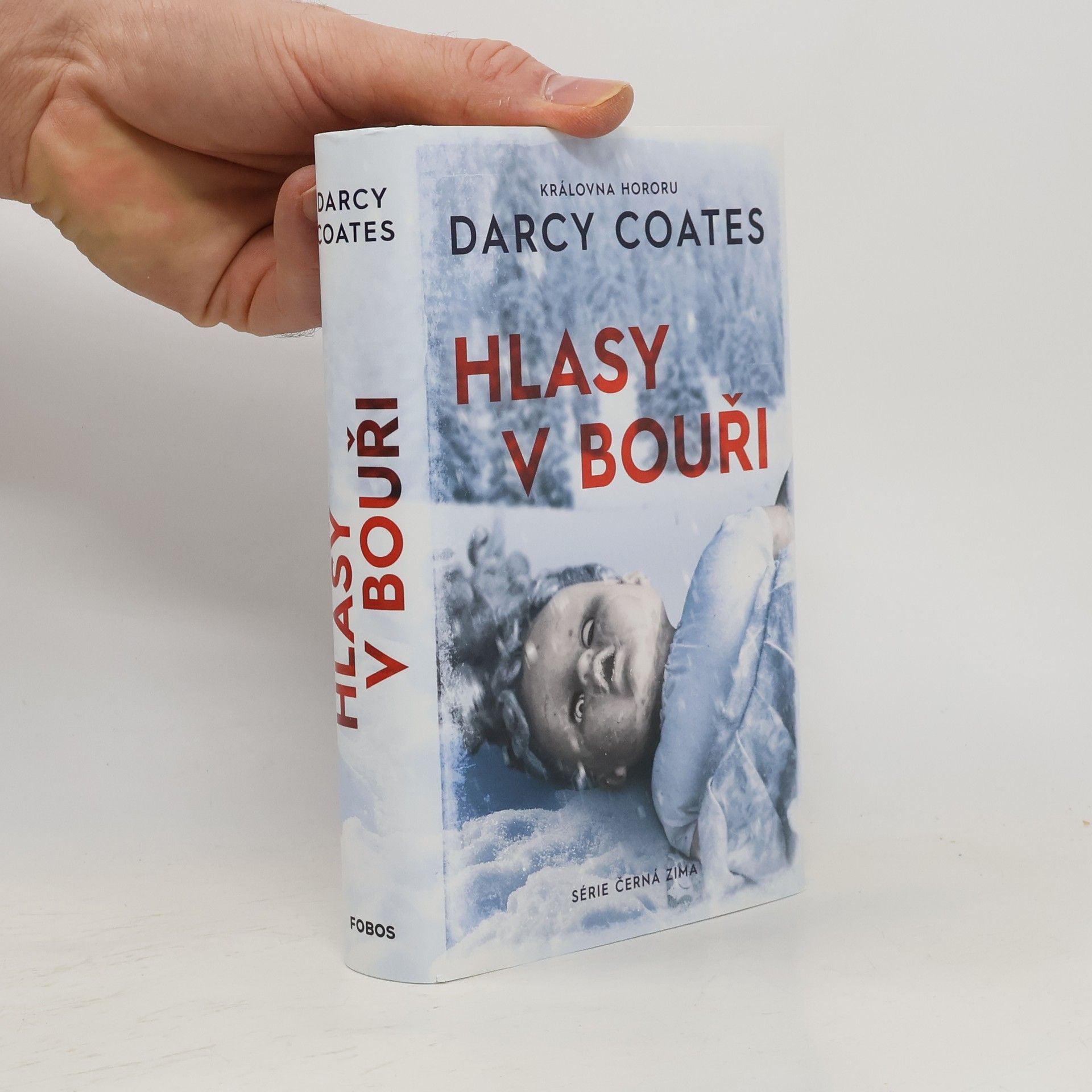 Darcy Coates Hlasy v bouři