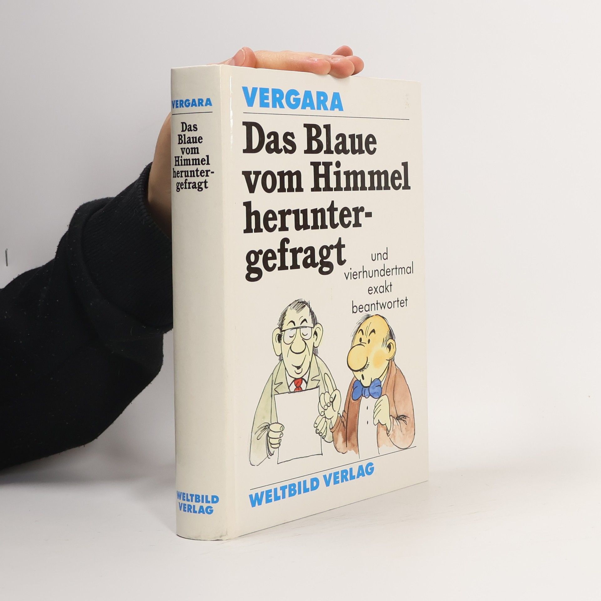 William C. Vergara Das Blaue vom Himmel heruntergefragt