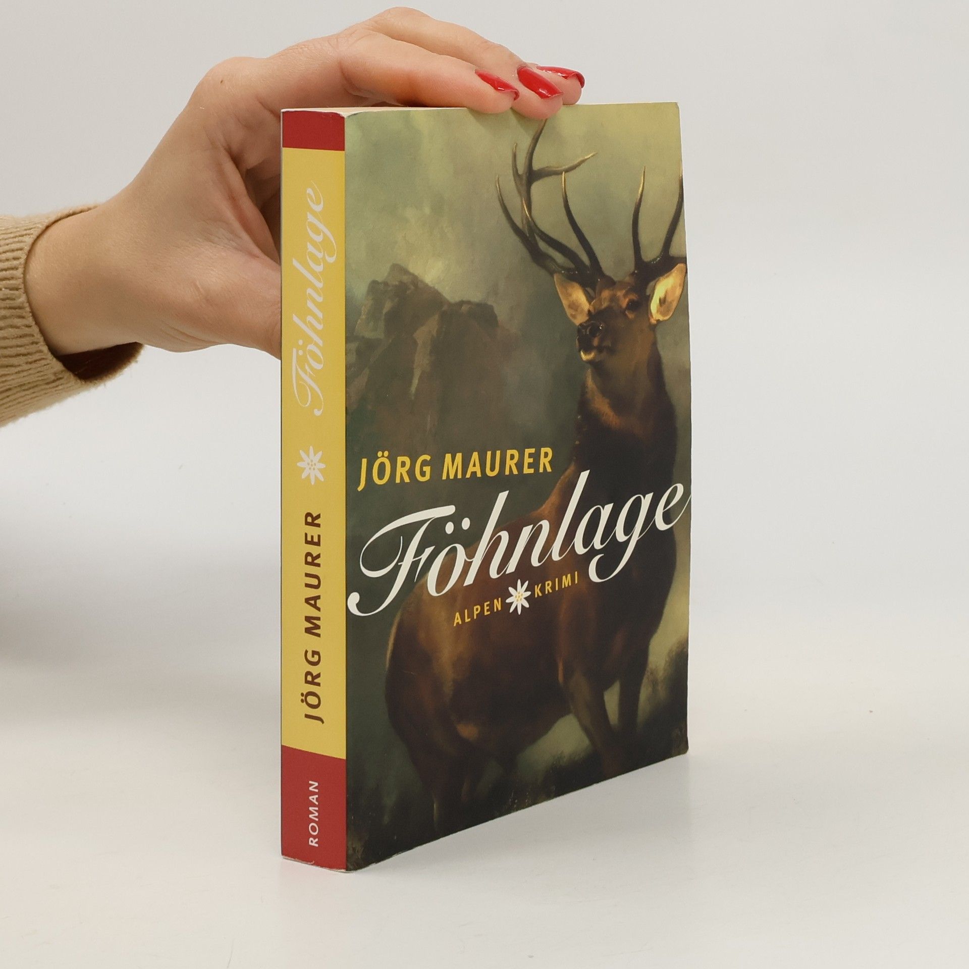 Jörg Maurer Föhnlage