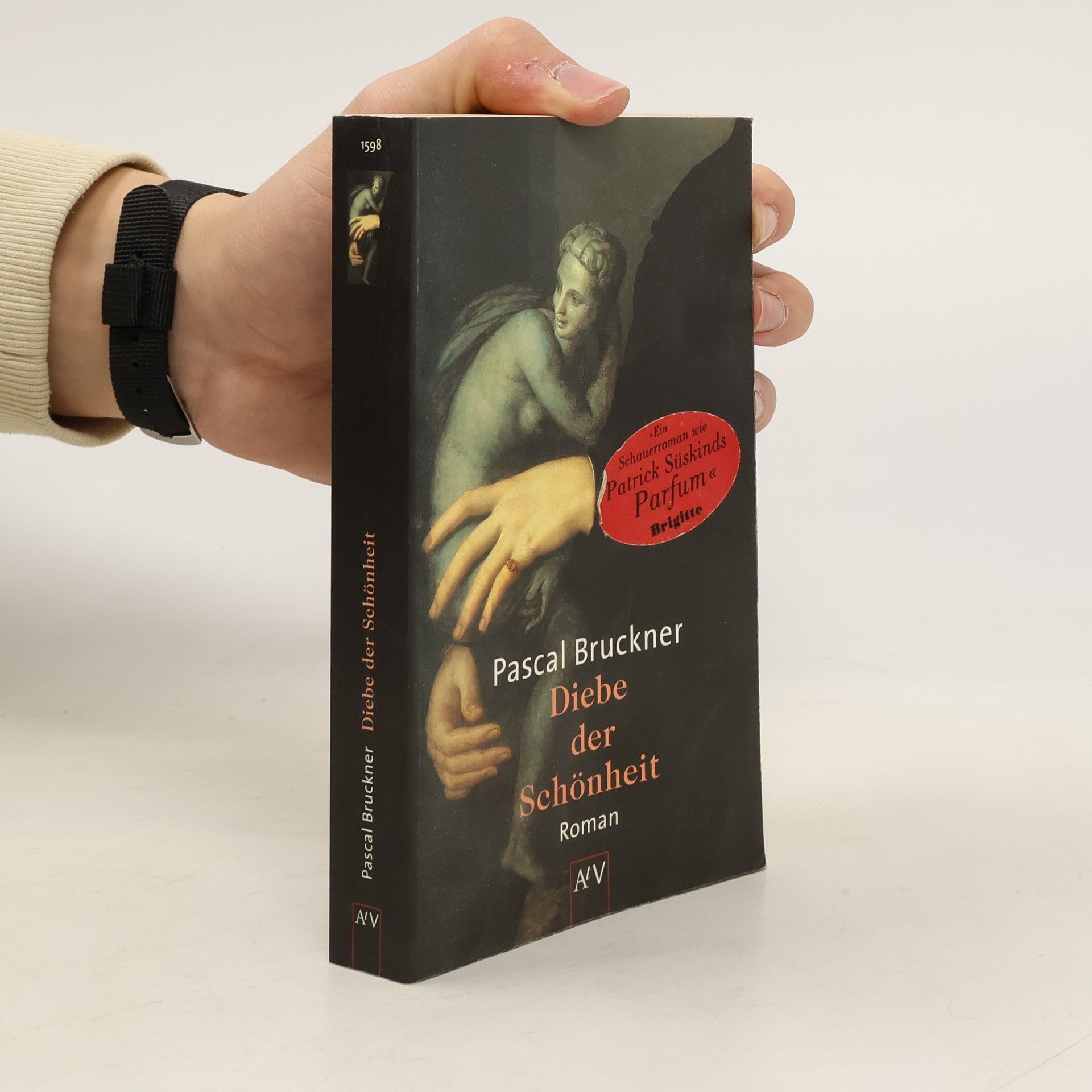 Pascal Bruckner Diebe der Schönheit