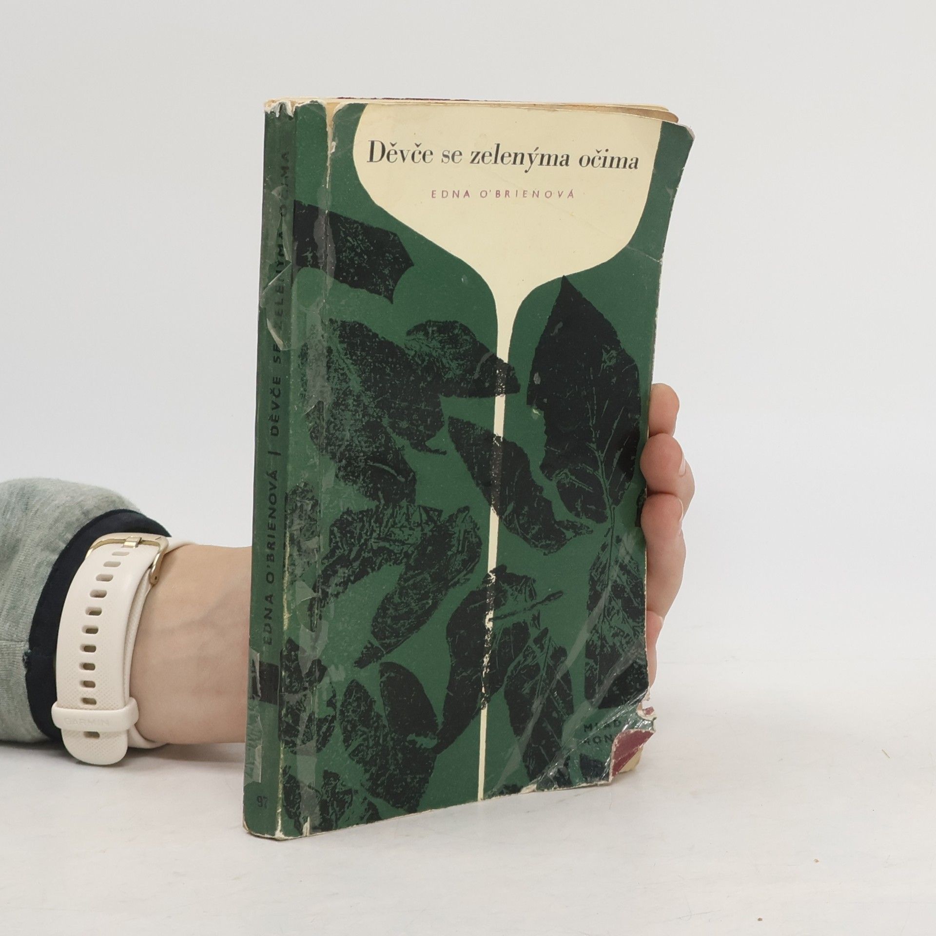 Edna O. Brien Děvče se zelenýma očima