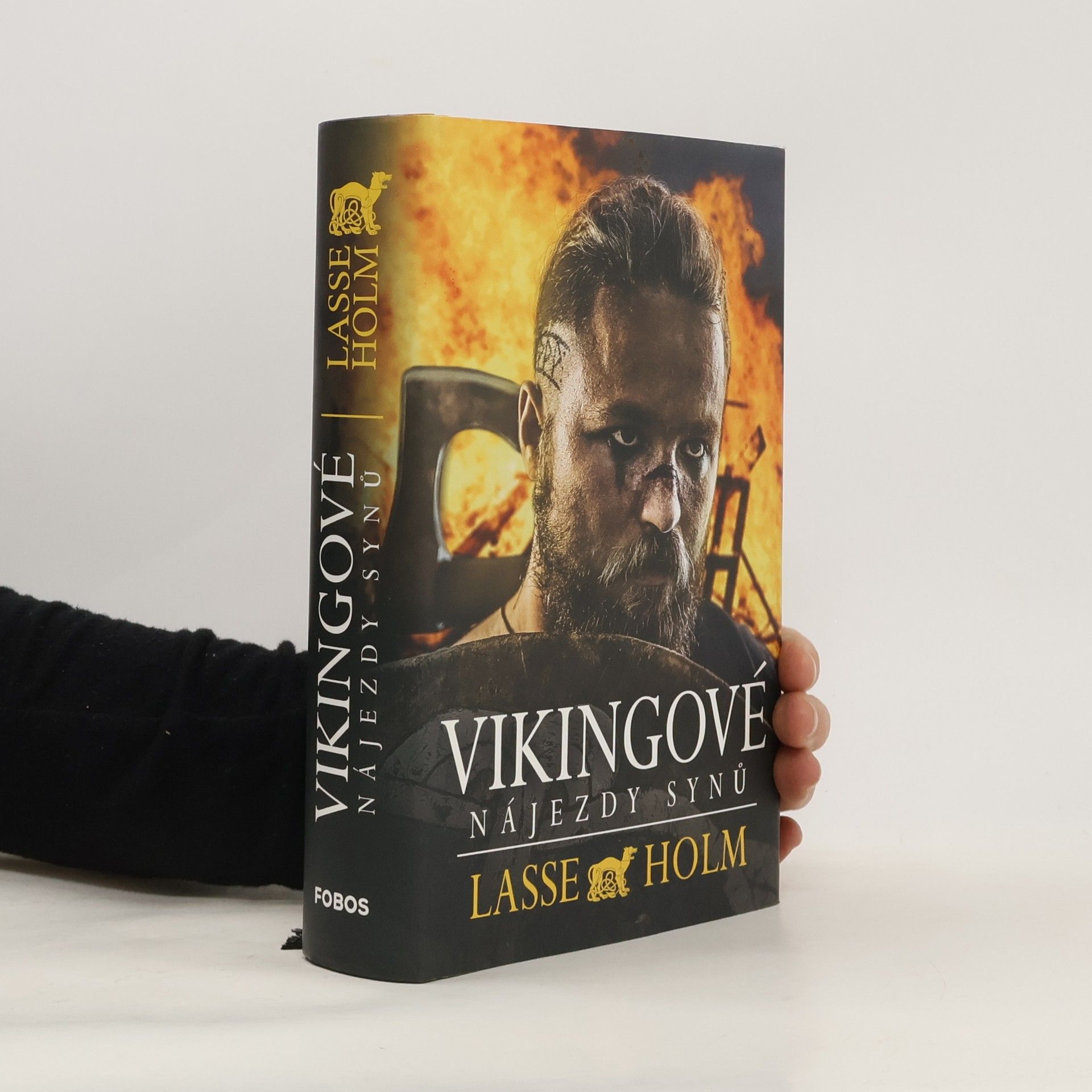 Lasse Holm Vikingové. Nájezdy synů