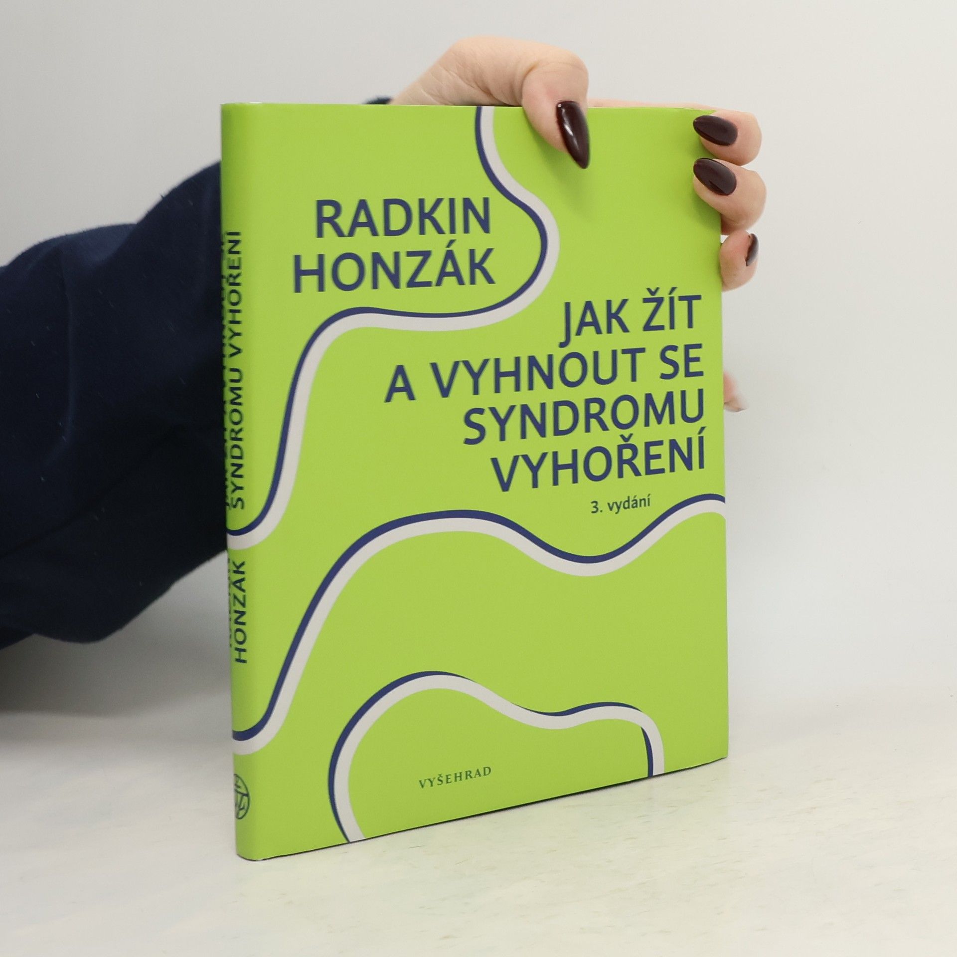 Radkin Honzák Jak žít a vyhnout se syndromu vyhoření