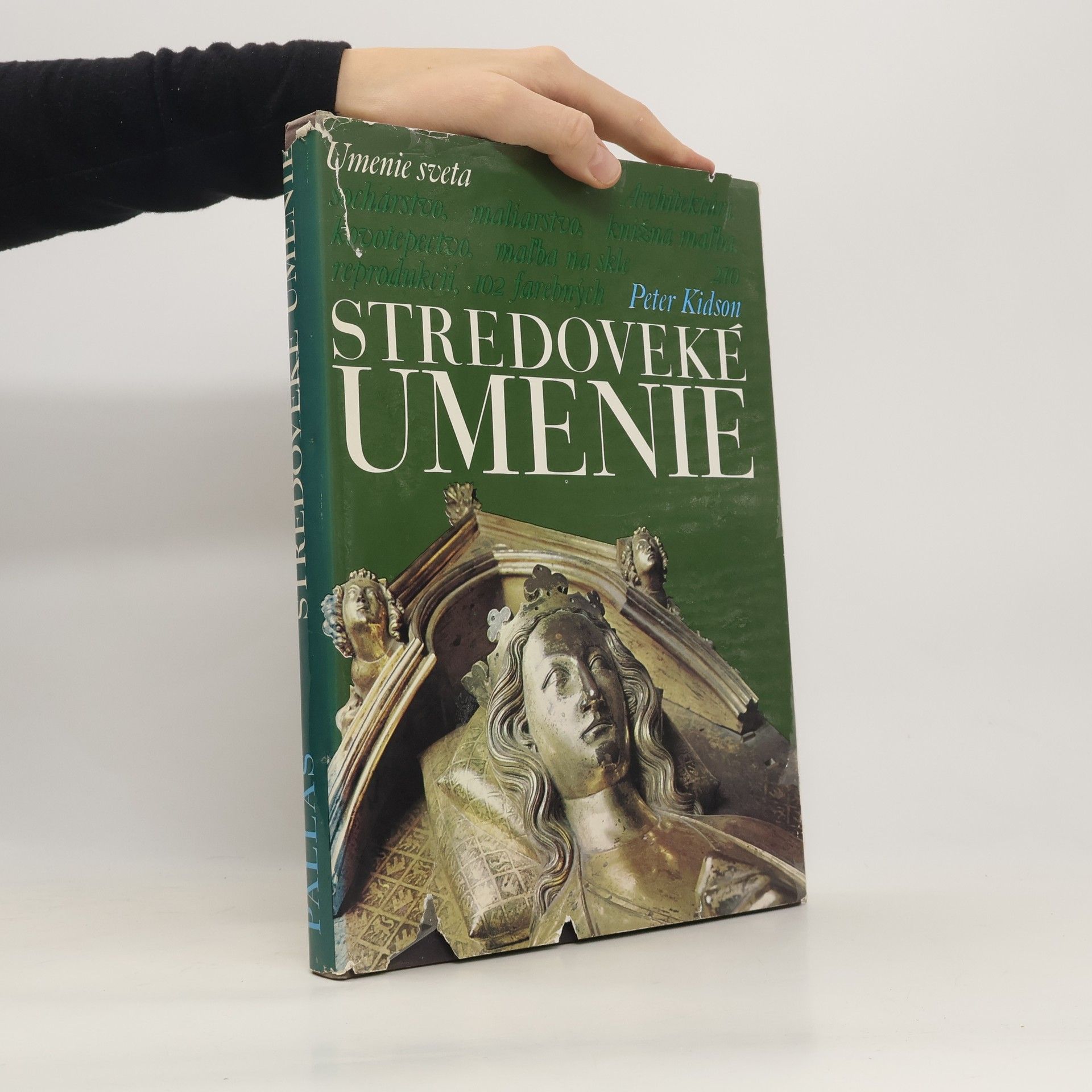 Peter Kidson Stredoveké umenie