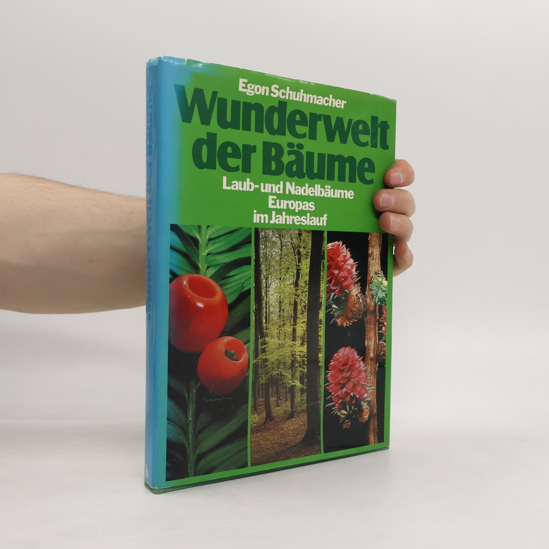 Egon Schuhmacher Wunderwelt der Bäume