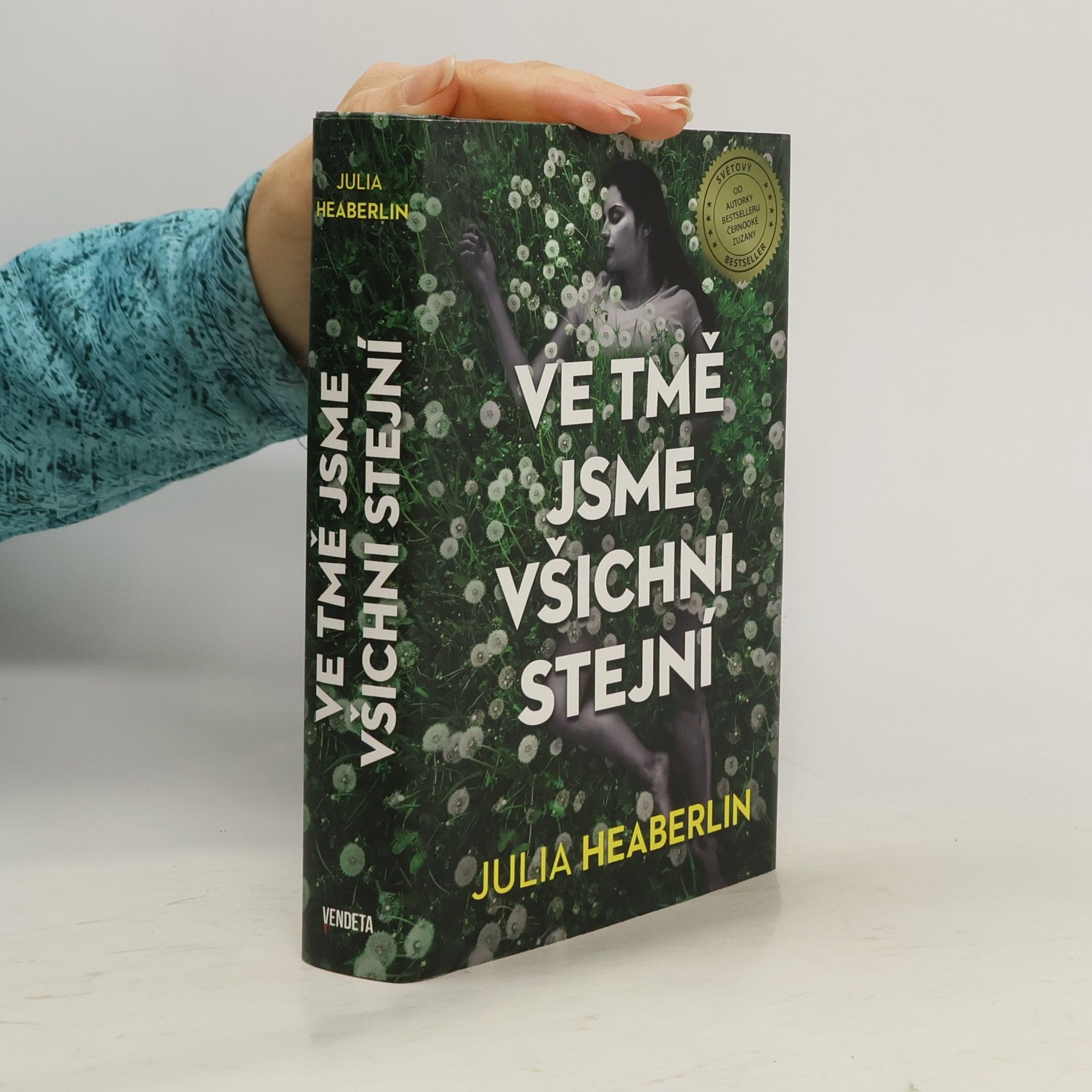 Julia Heaberlin Ve tmě jsme všichni stejní