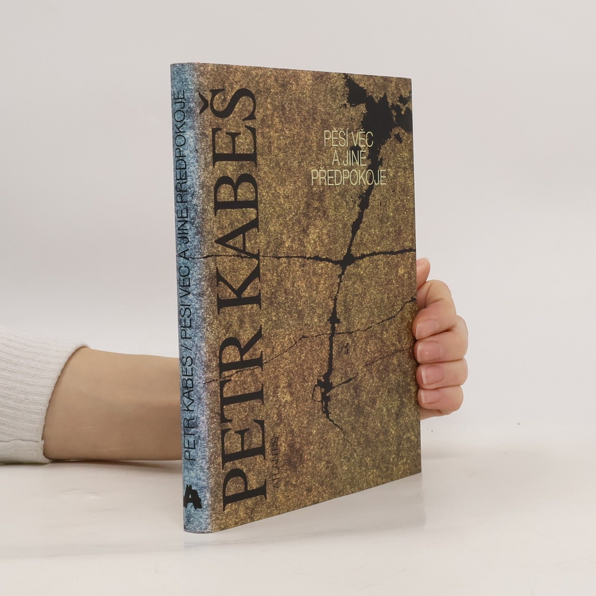 Petr Kabeš Pěší věc a jiné předpokoje