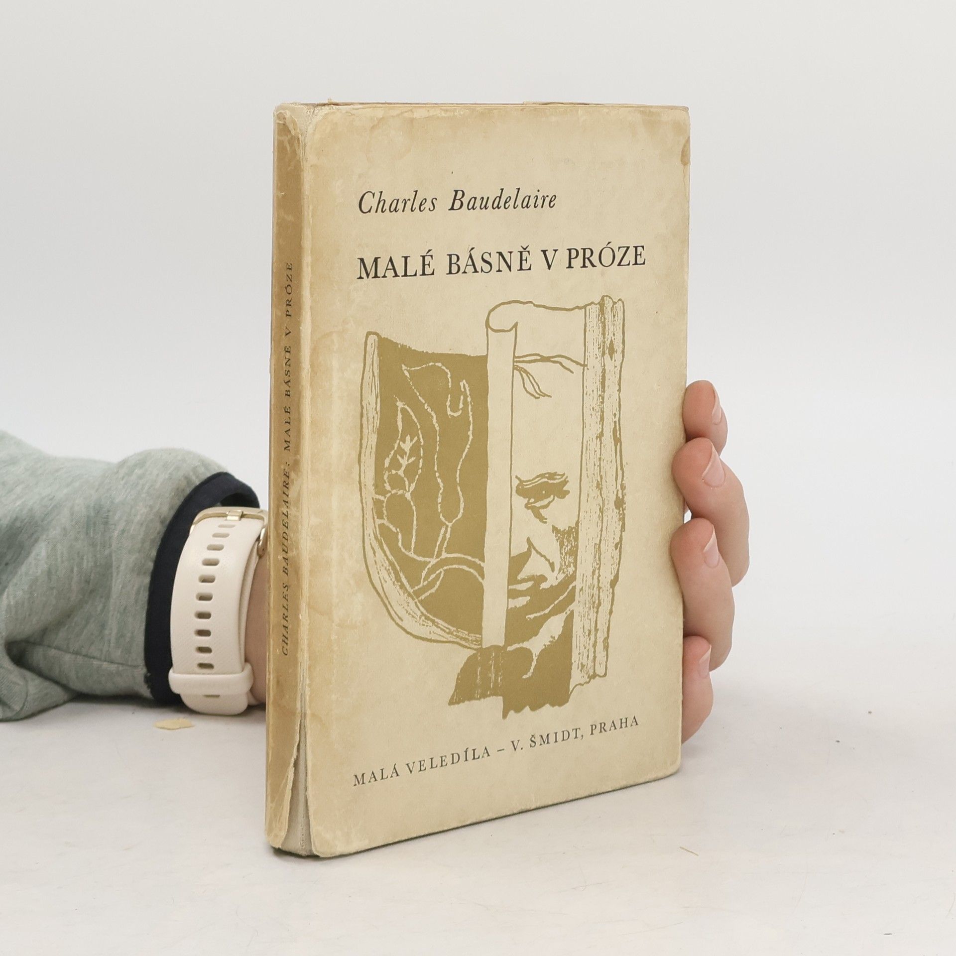 Charles Baudelaire Malé básně v próze