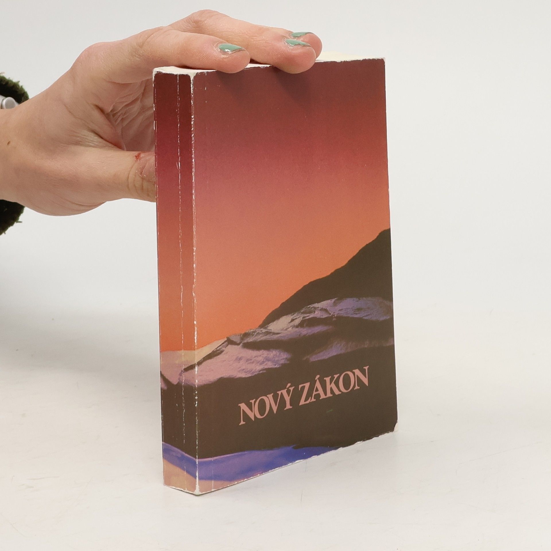 Ondřej M. Petrů Nový zákon