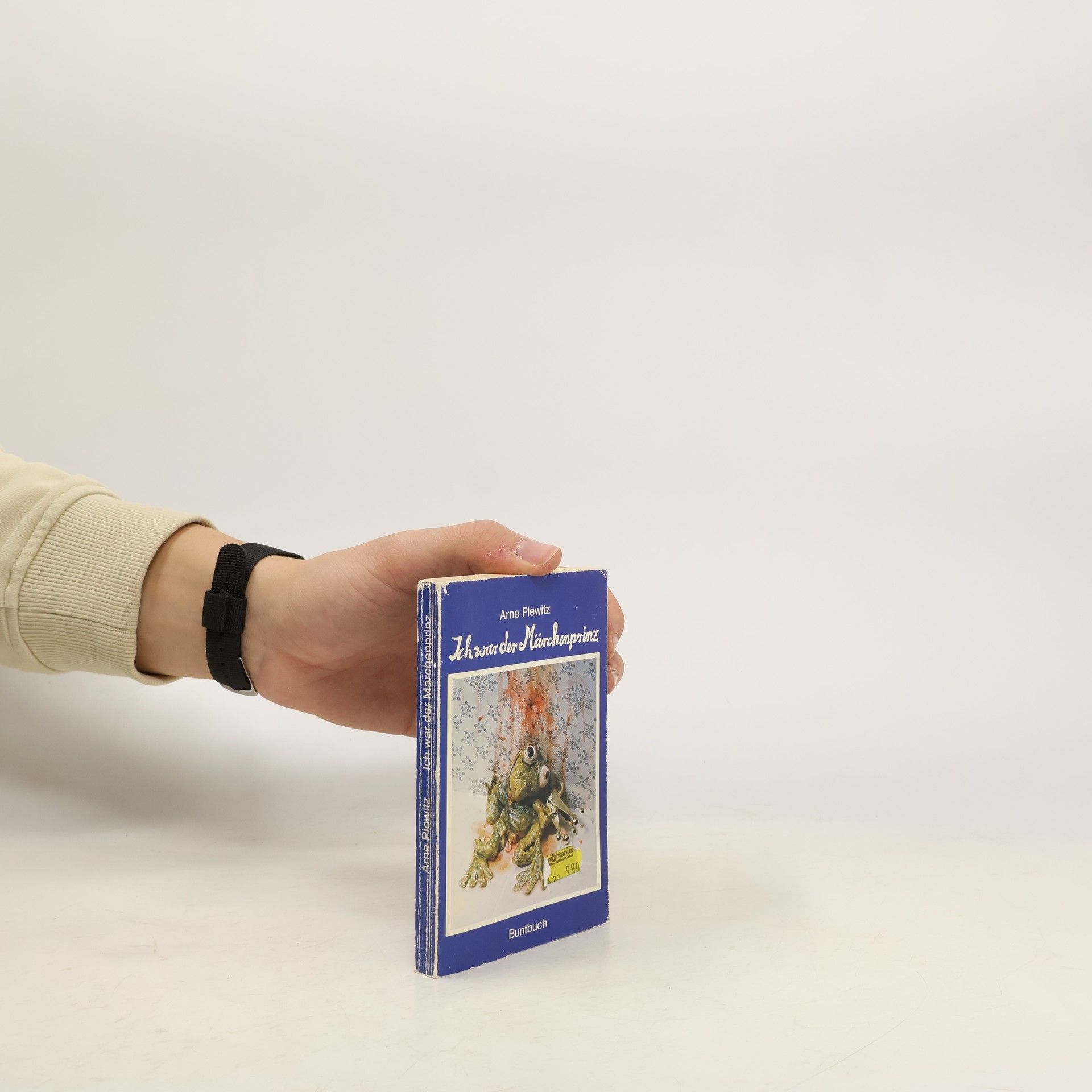 Arne Piewitz Ich war der Märchenprinz