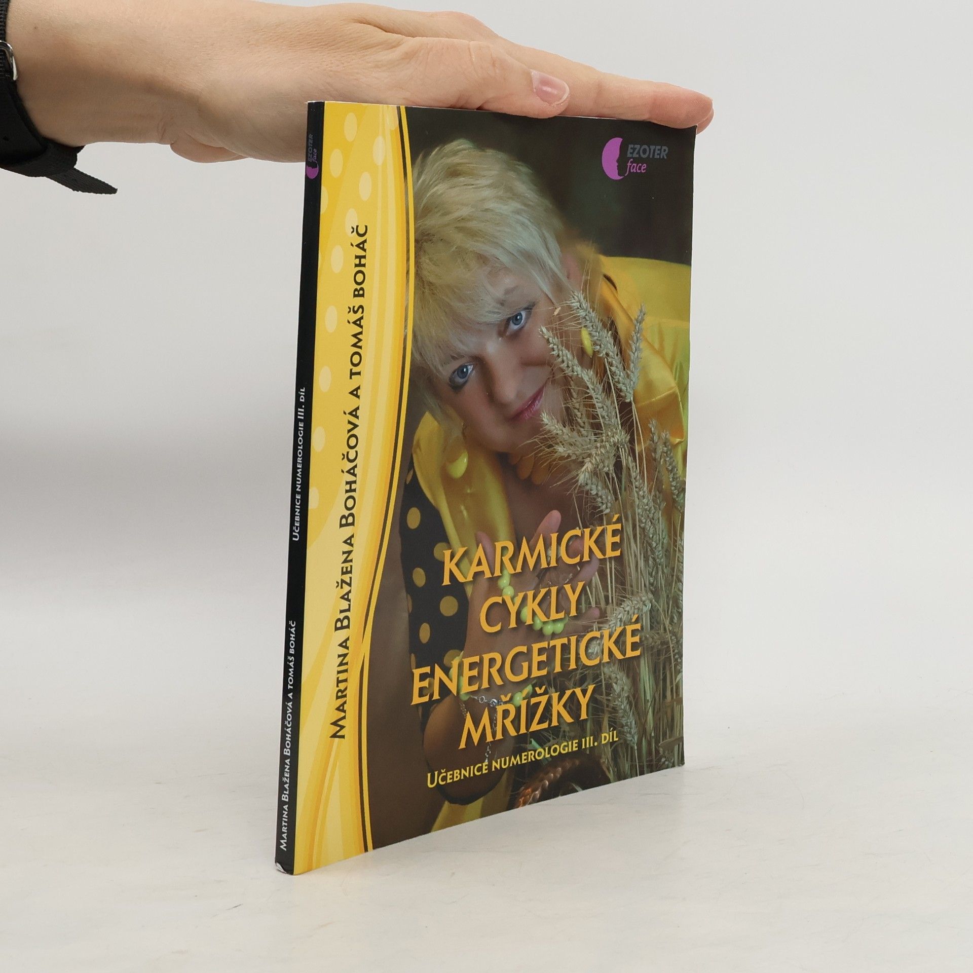 Martina Blažena Boháčová Učebnice numerologie. 3. díl, Karmické cykly energetické mřížky