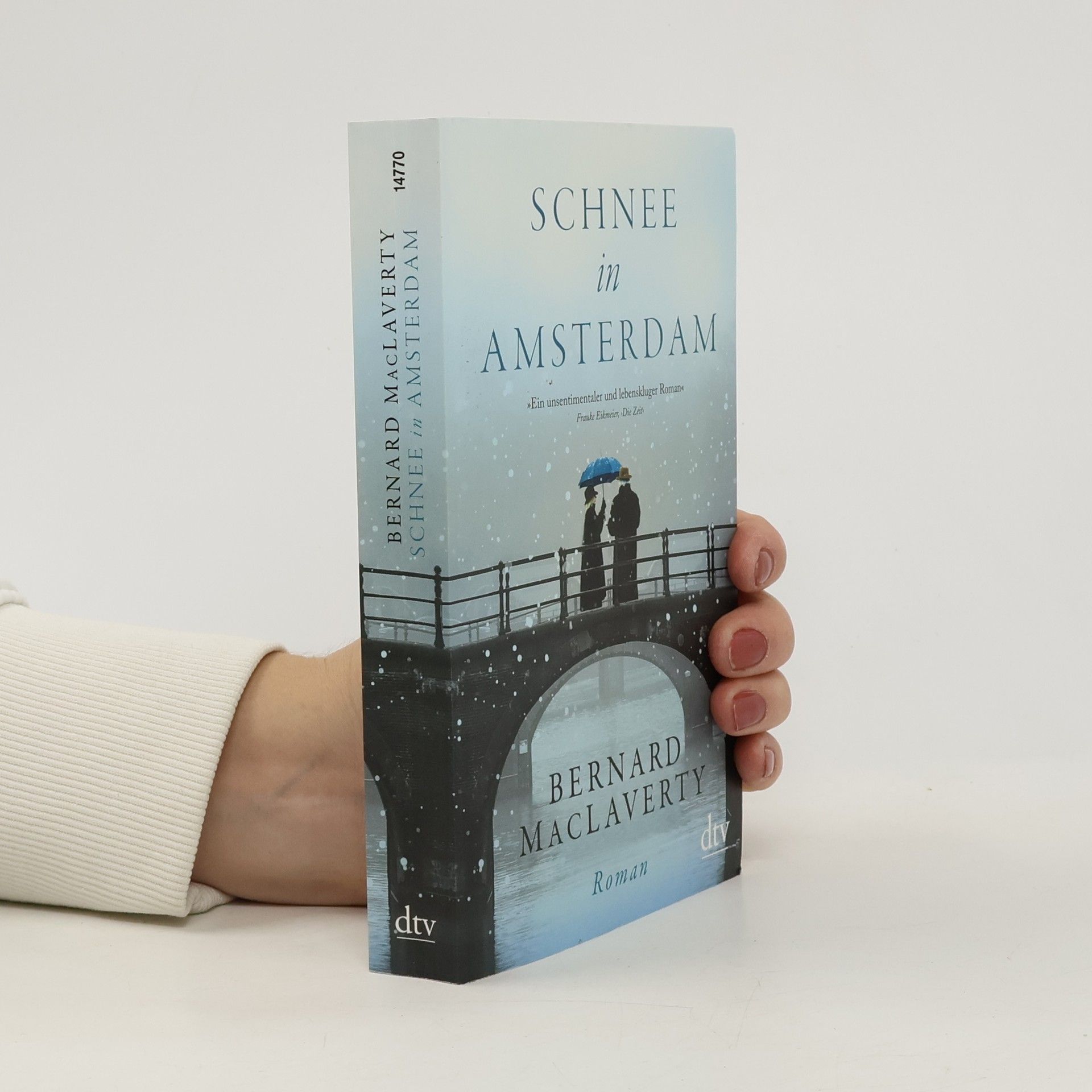 Bernard Mac Laverty Schnee in Amsterdam