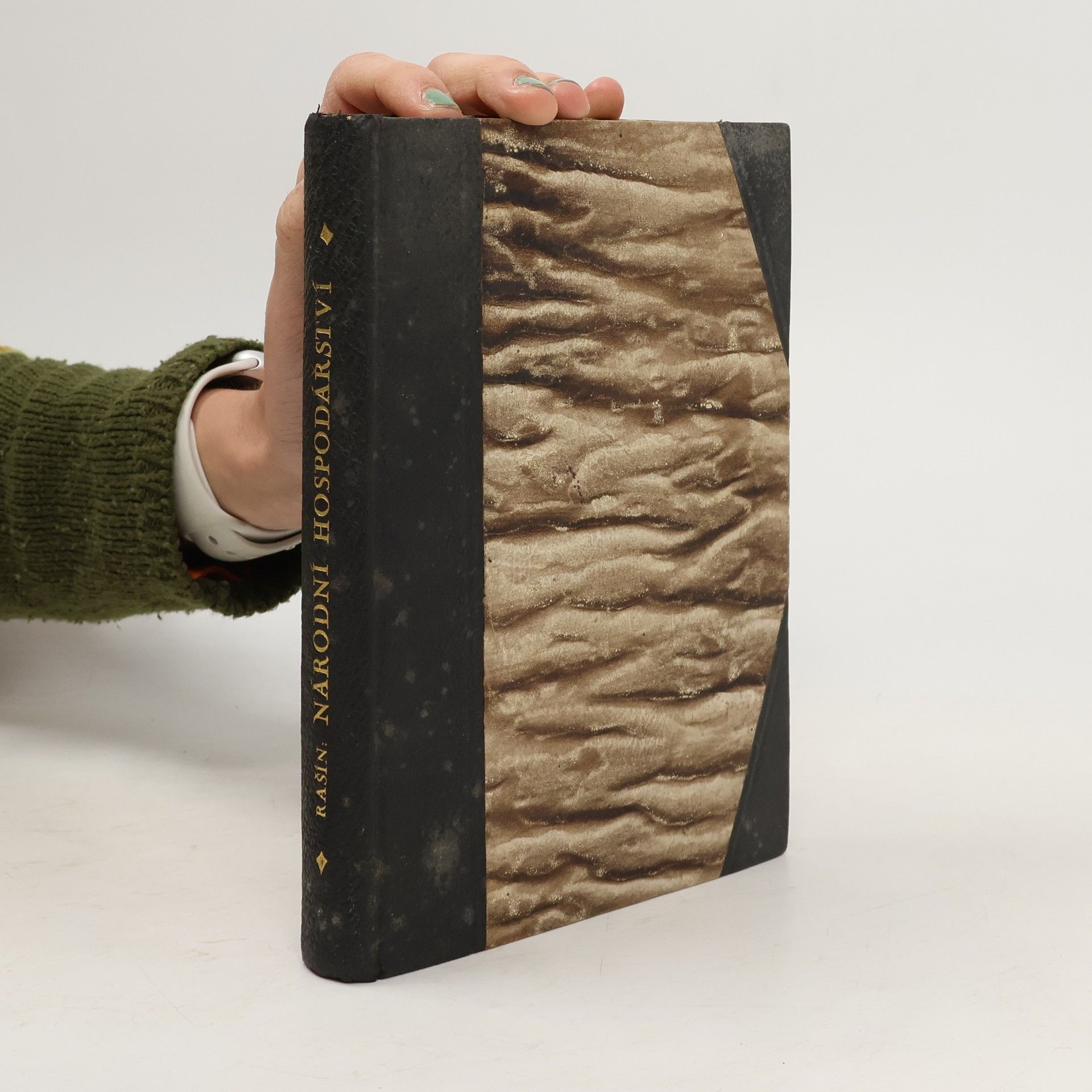 Alois Rašín Národní hospodářství