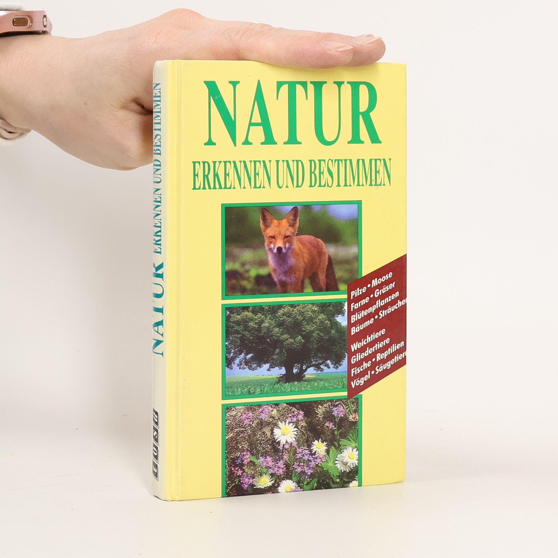 Autorenkollektiv Natur. Erkennen und Bestimmen