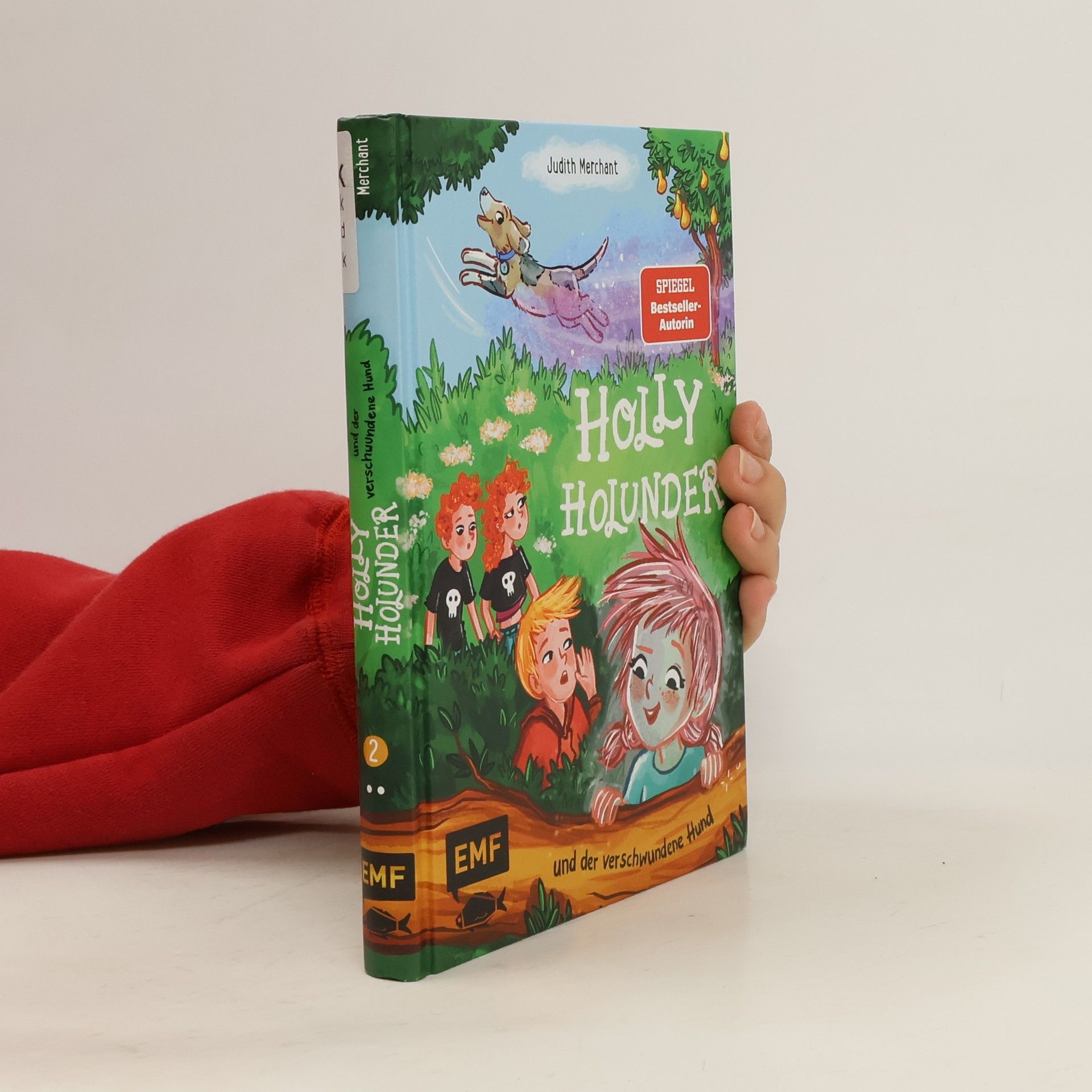 Judith Merchant Holly Holunder und der verschwundene Hund (Band 2)
