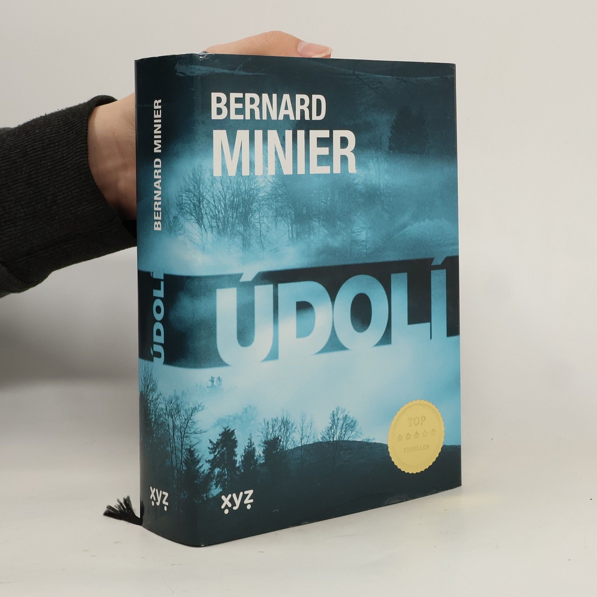 Bernard Minier Údolí