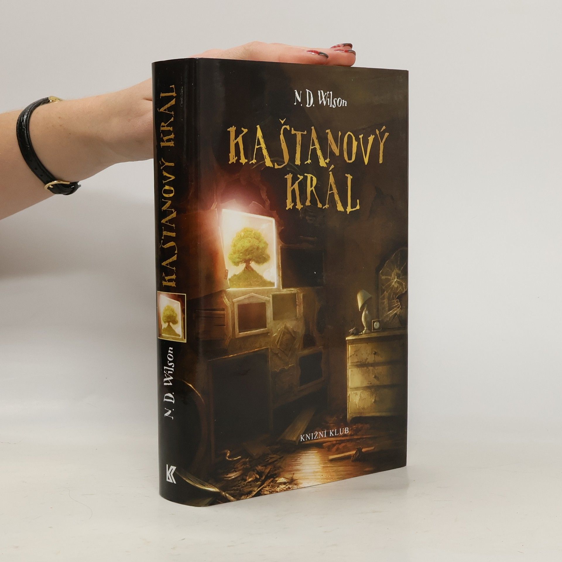 N. D. Wilson Kaštanový král