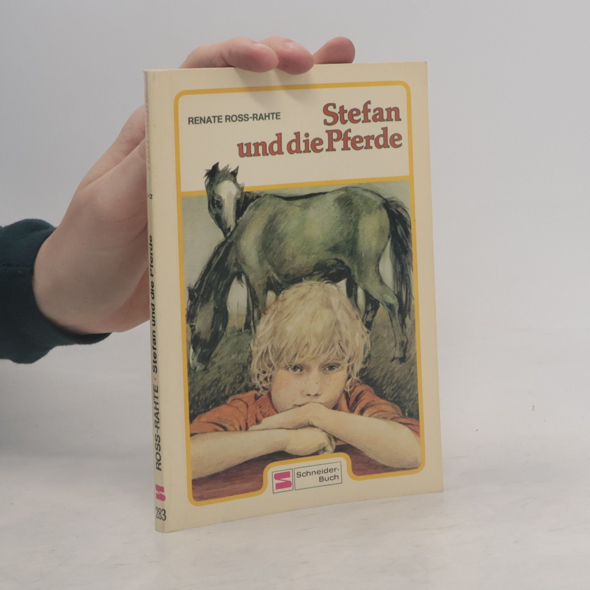 Renate Ross-Rahte Stefan und die Pferde.