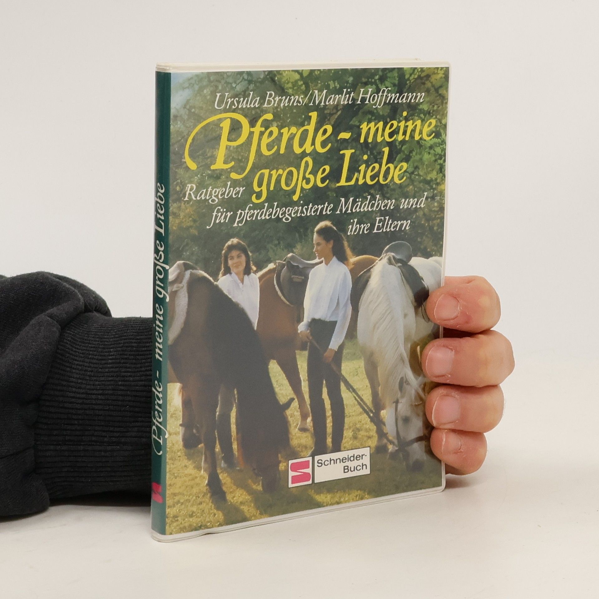 Ursula Bruns Pferde - meine grosse Liebe