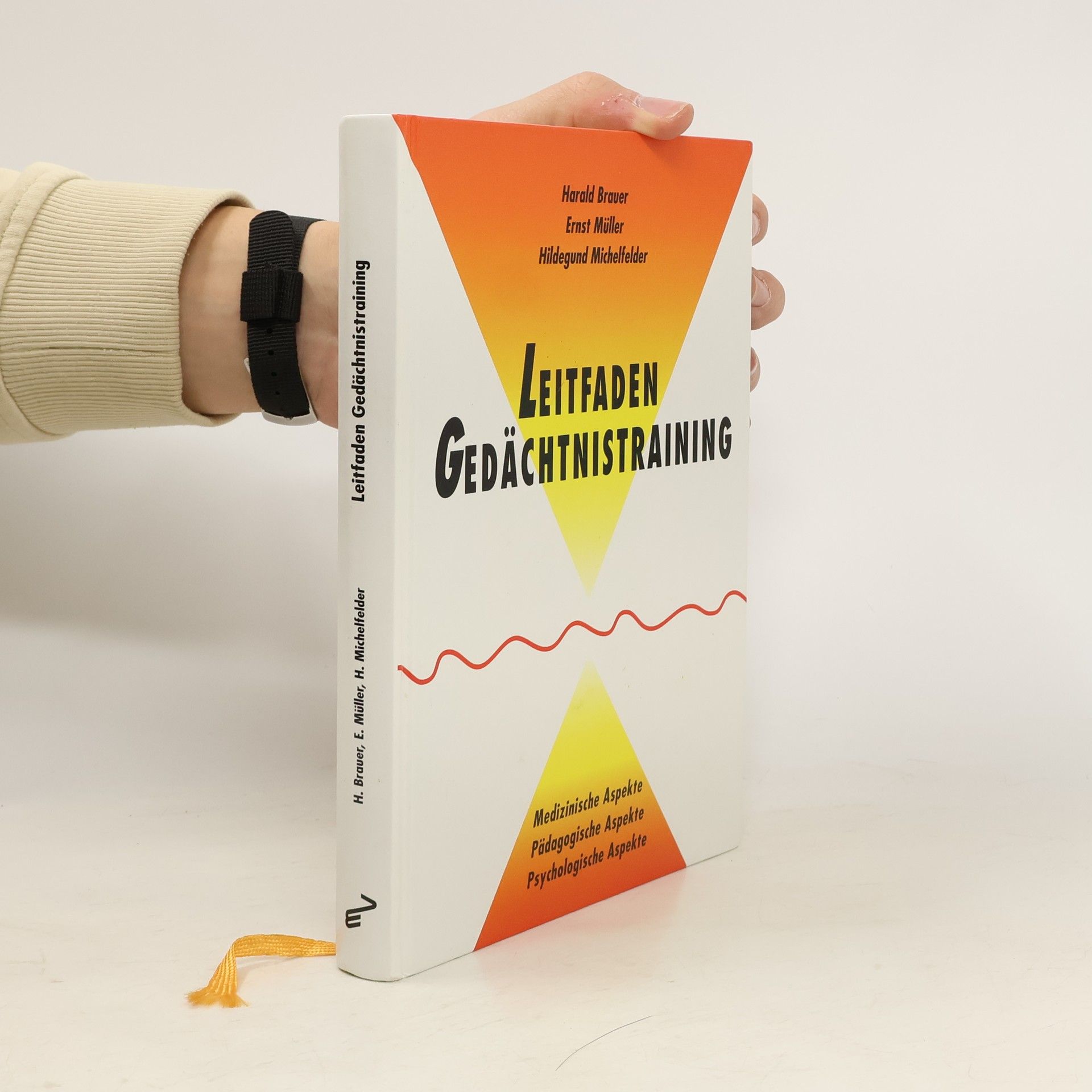 Harald Brauer Leitfaden Gedächtnistraining