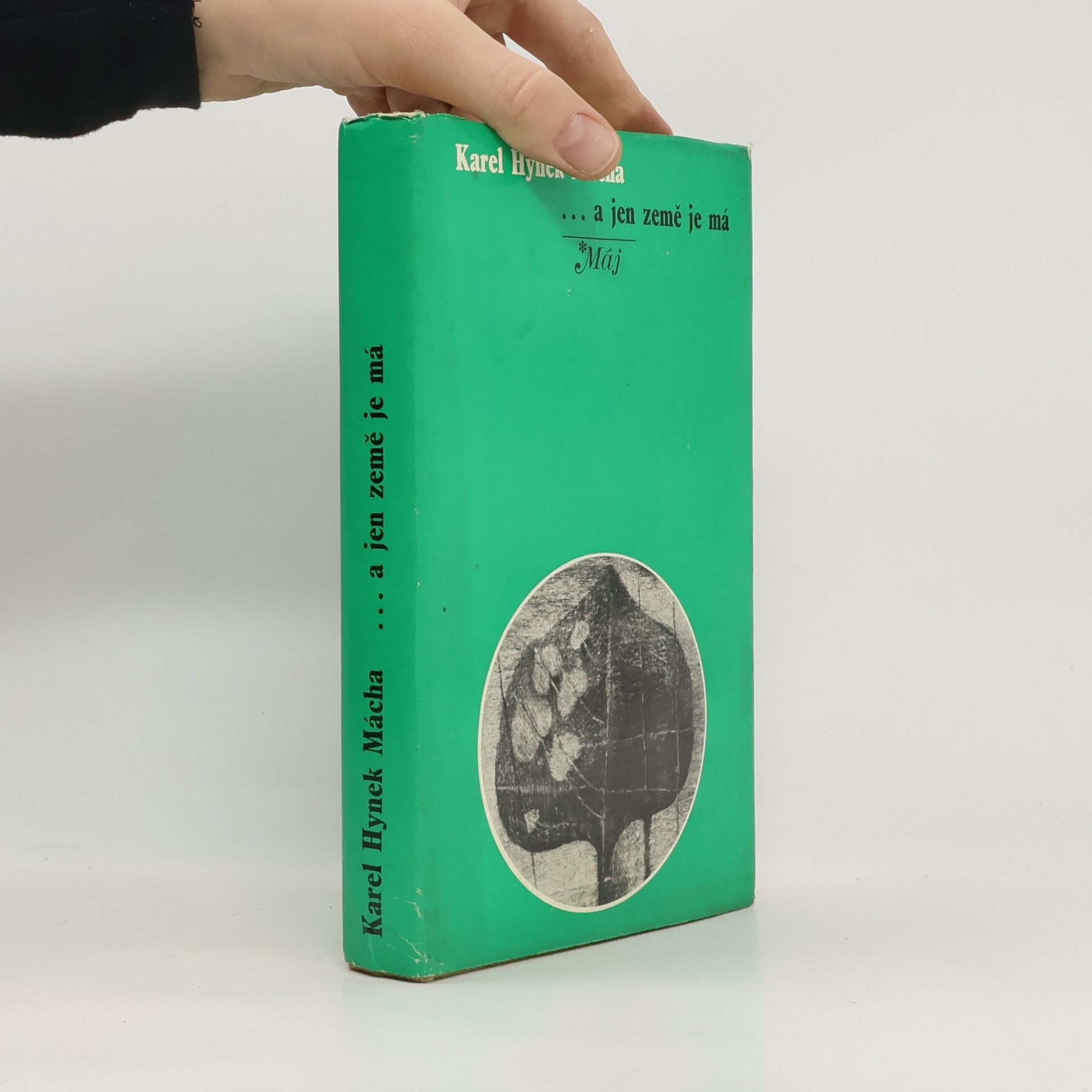 Karel Hynek Mácha ...a jen země je má