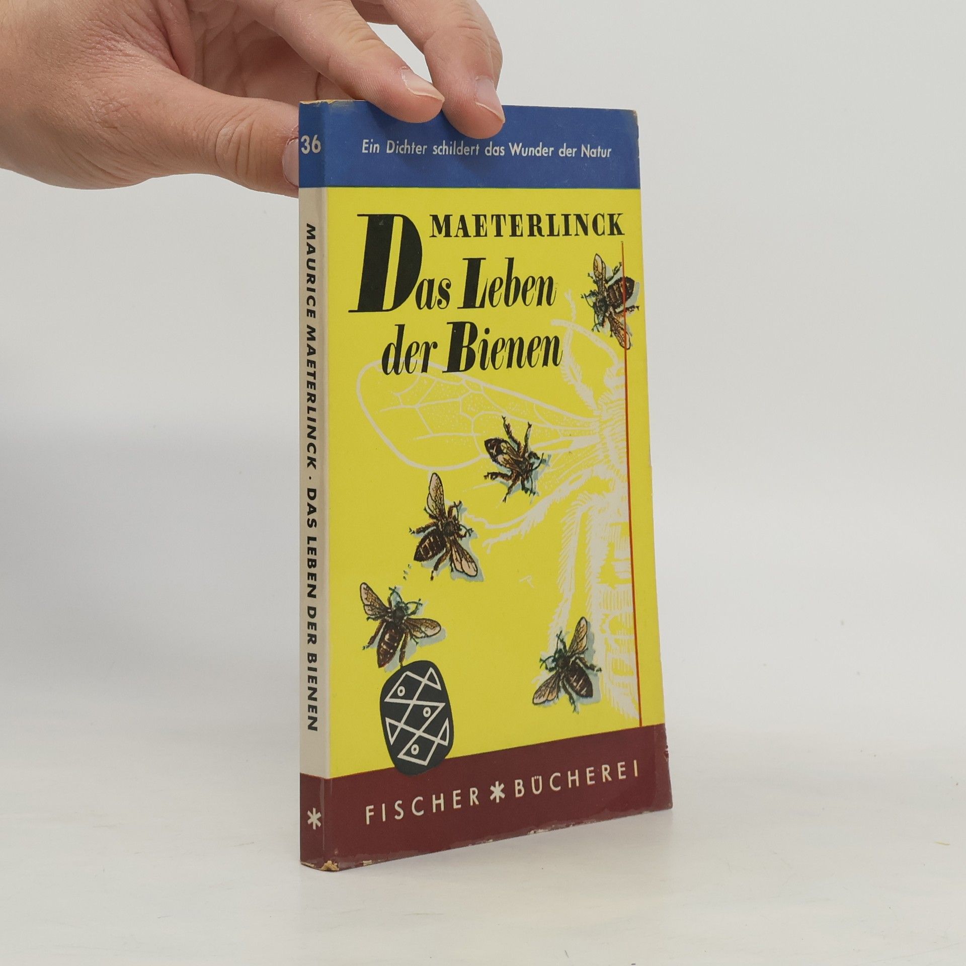 Maurice Maeterlinck Das Leben der Bienen