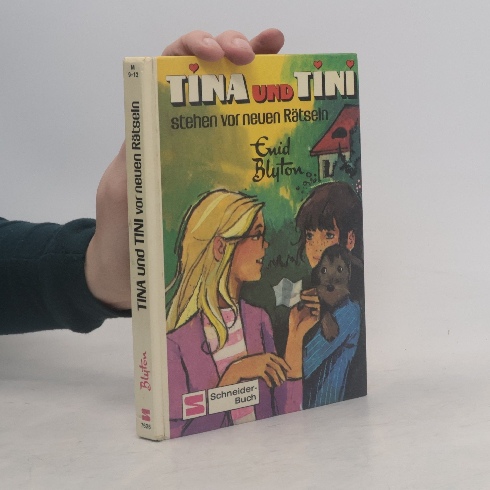 Enid Blyton Tina und Tini stehen vor neuen Rätseln