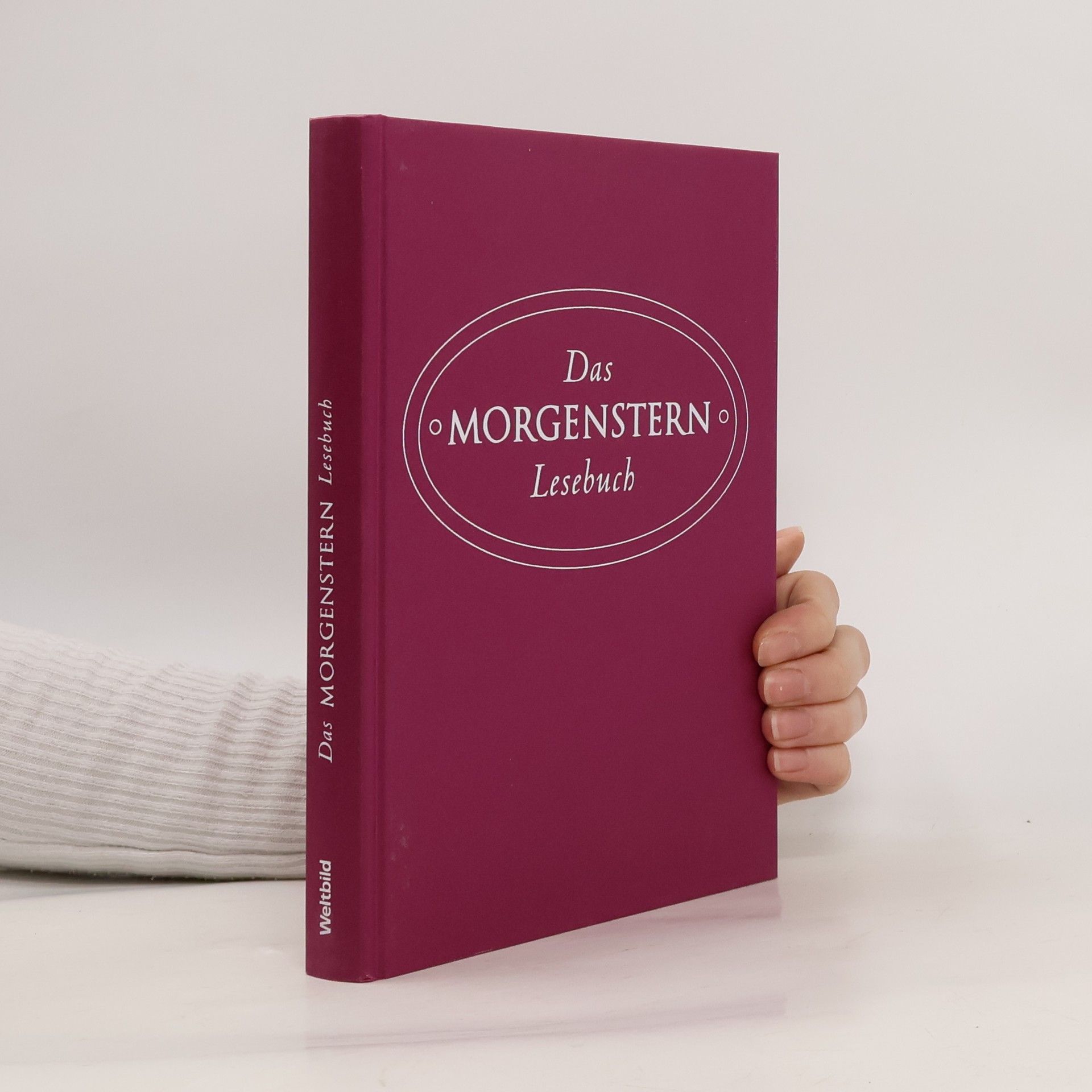 Christian Morgenstern Das Morgenstern-Lesebuch