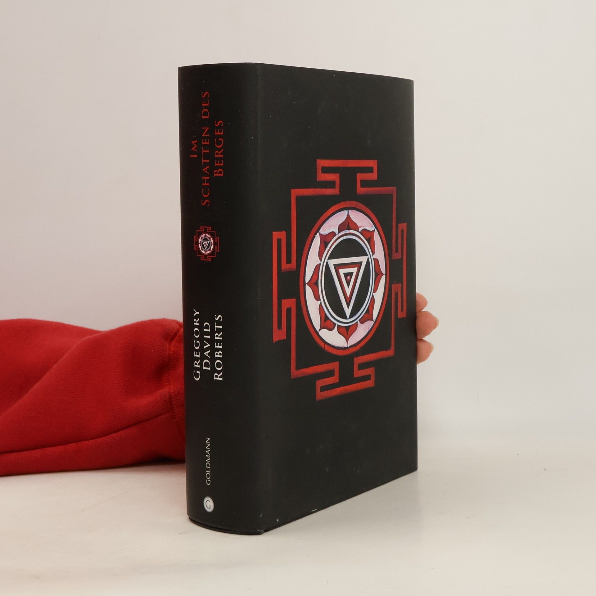 Im Schatten des Berges