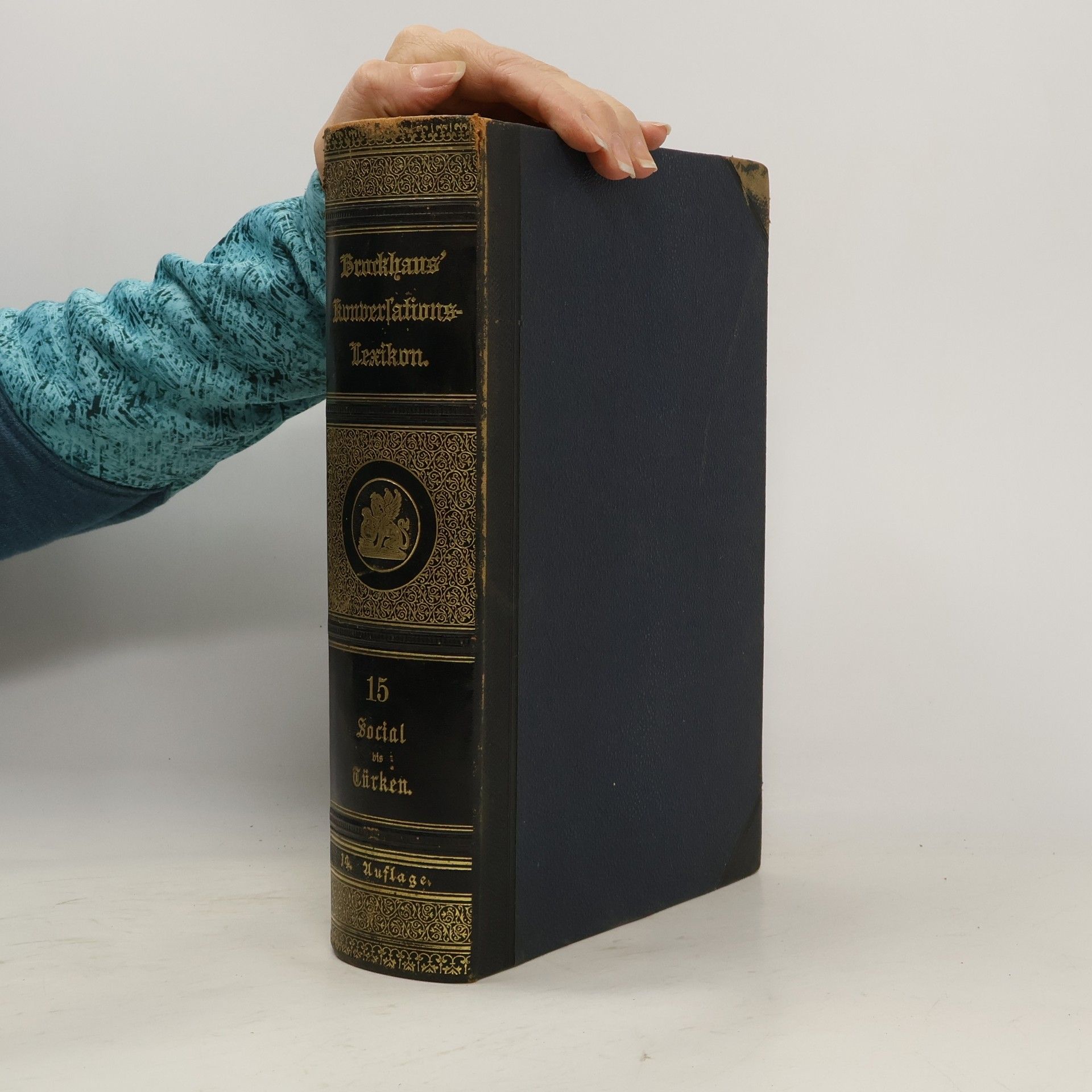 AA.VV. Brockhaus' Konversations-Lexikon 15
