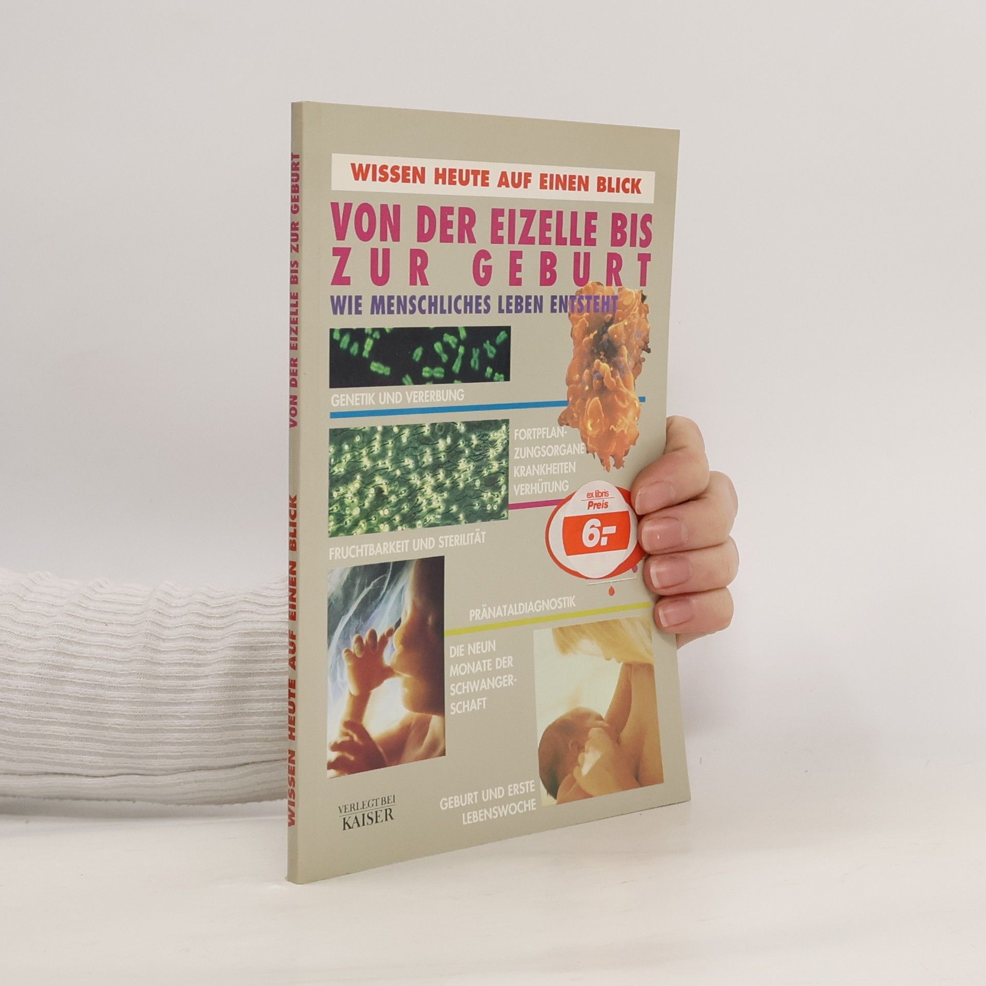 Von der Eizelle bis zur Geburt