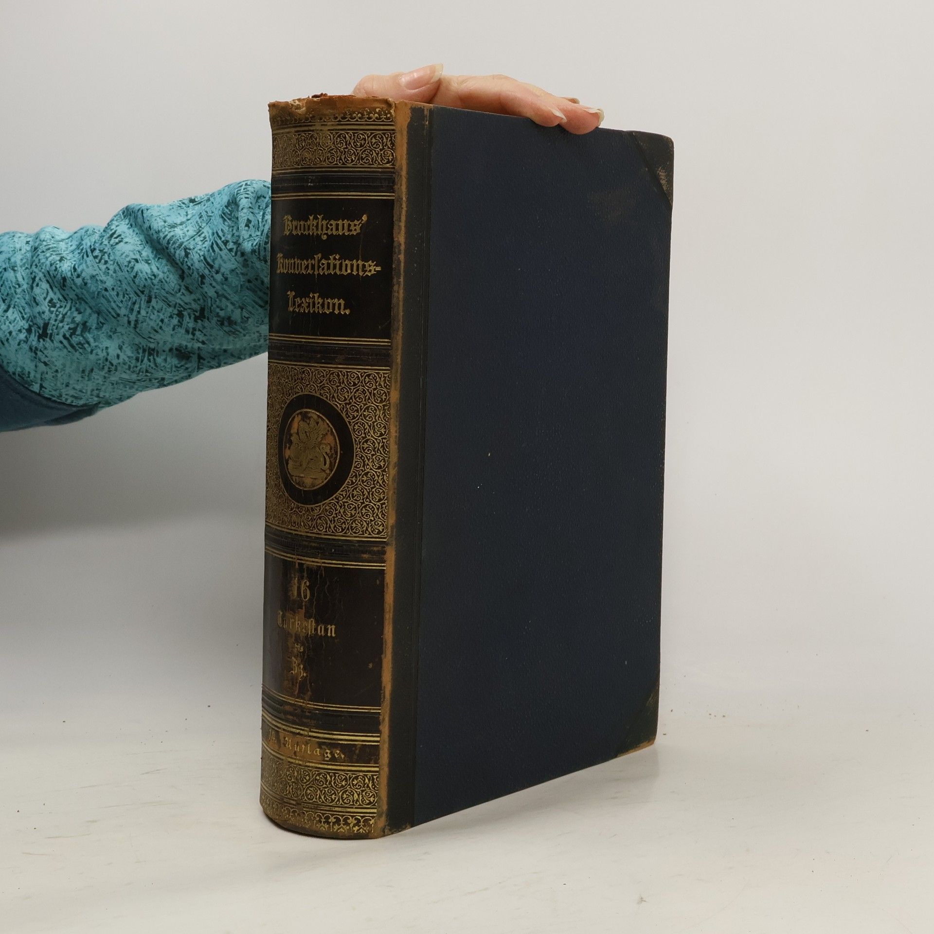 AA.VV. Brockhaus' Konversations-Lexikon 16