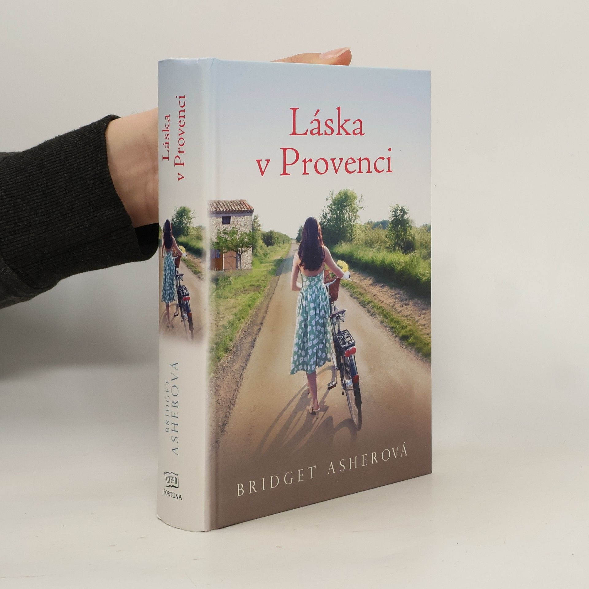 Bridget Asher Láska v Provenci