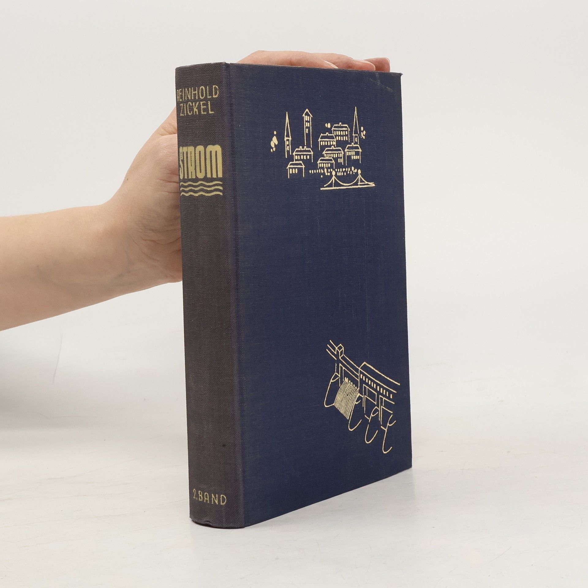 Reinhold Zickel Strom 1