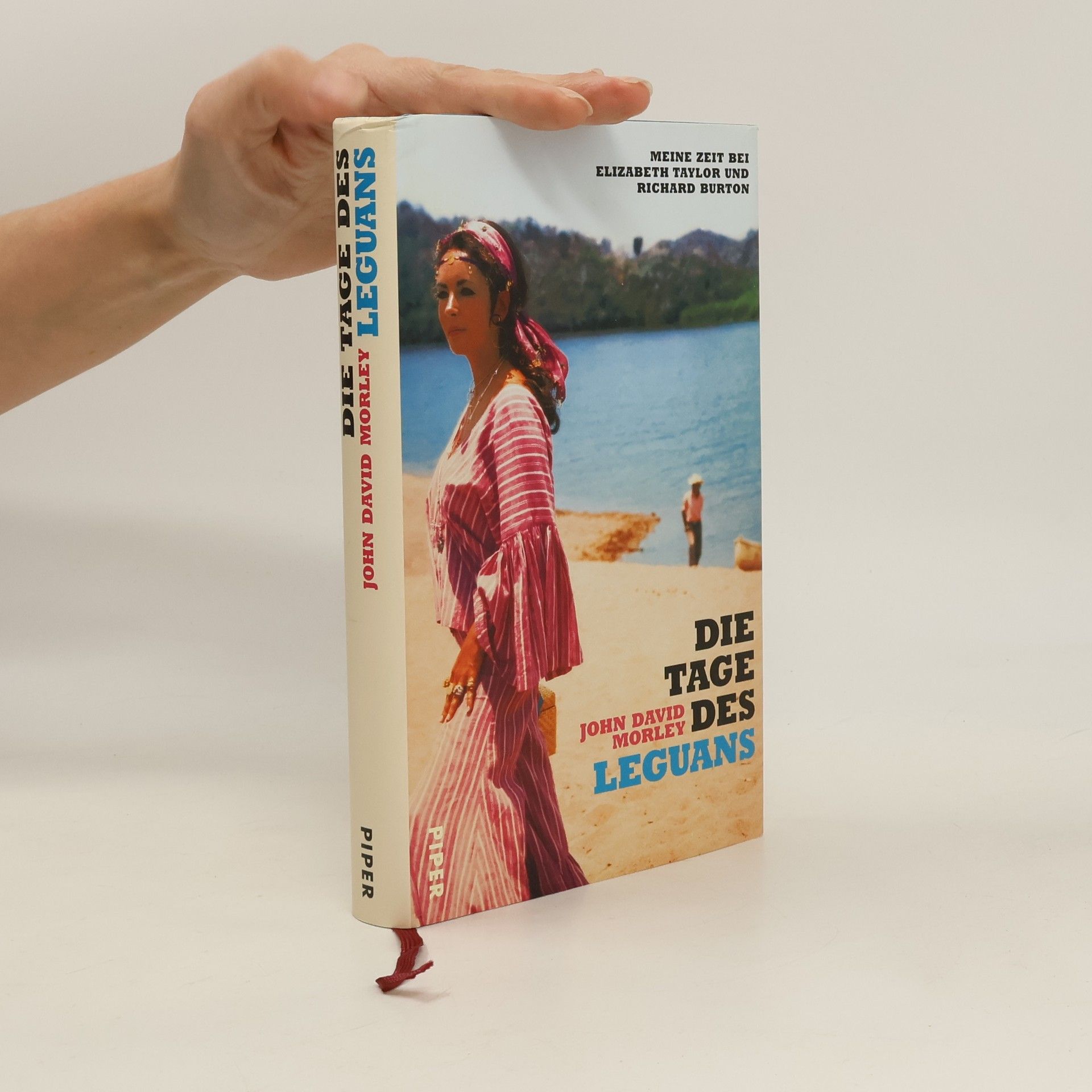 John David Morley Die Tage des Leguans