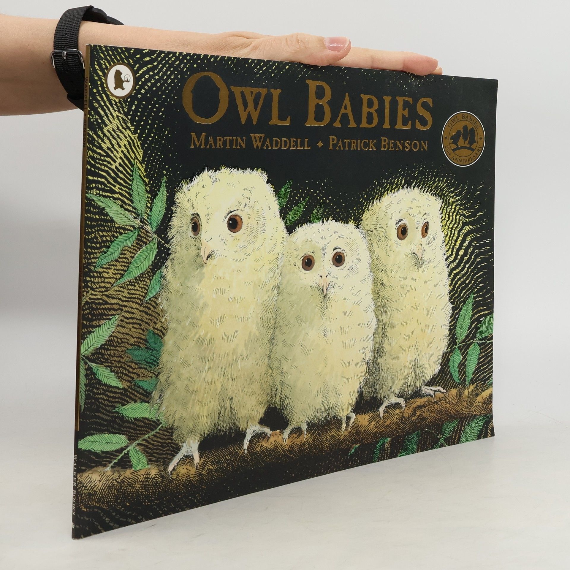 Martin Waddell Owl Babies