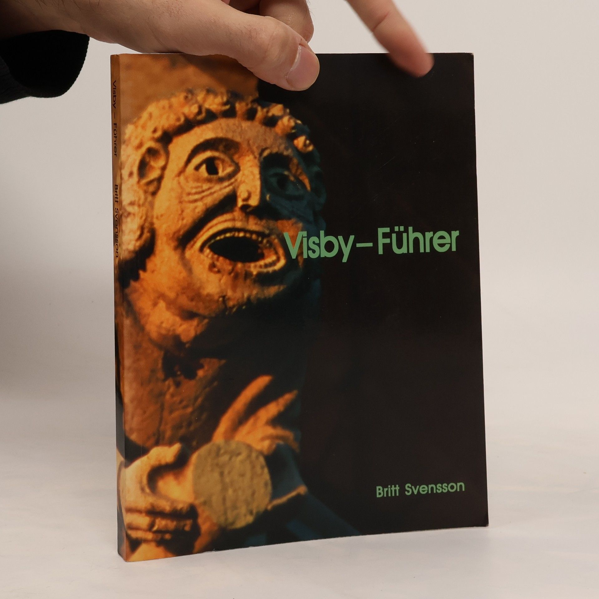 Britt Svensson Visby-Führer