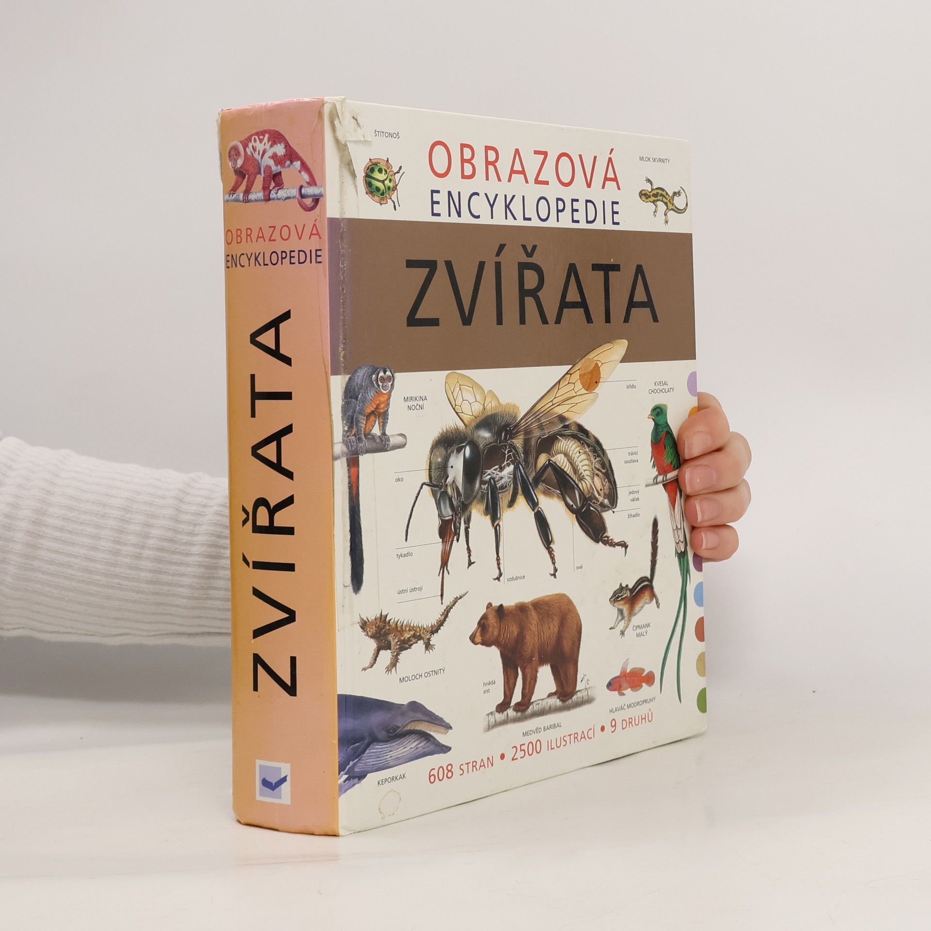 Michael Fokt Obrazová encyklopedie. Zvířata