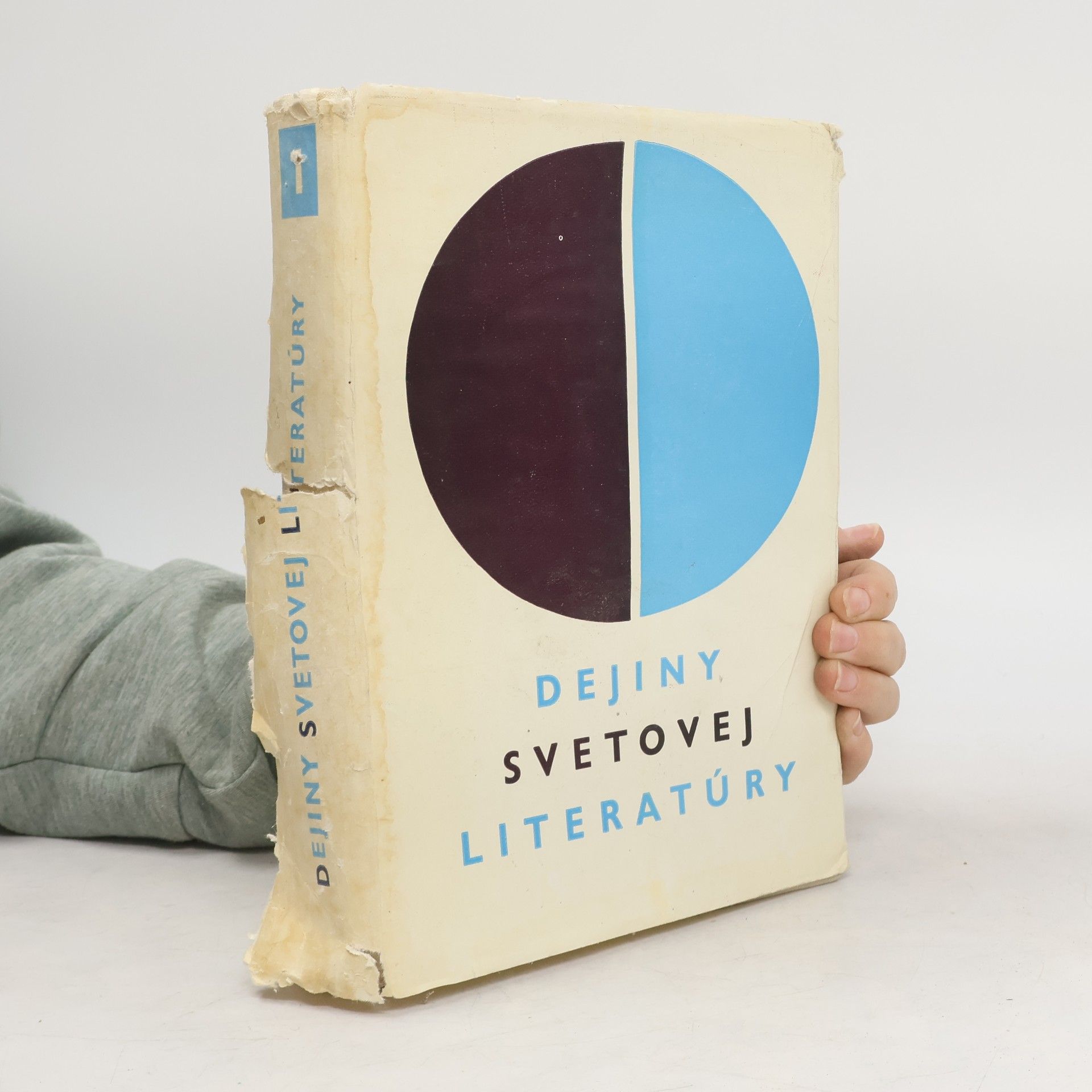 Kolektiv autorů Dejiny svetovej literatúry