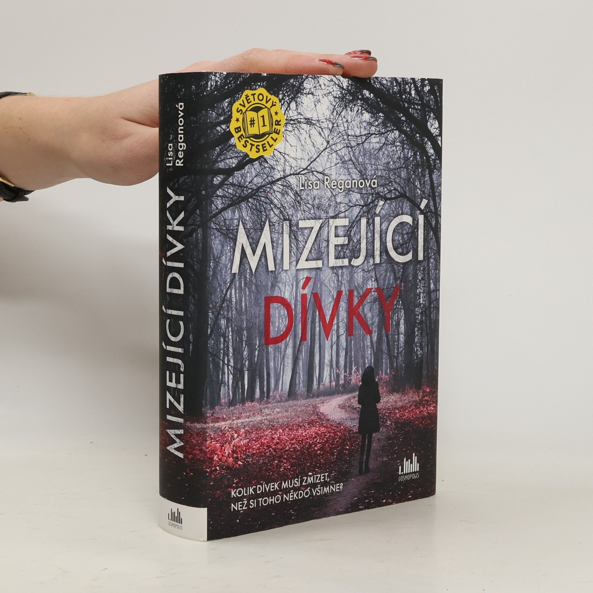 Lisa Regan Mizející dívky